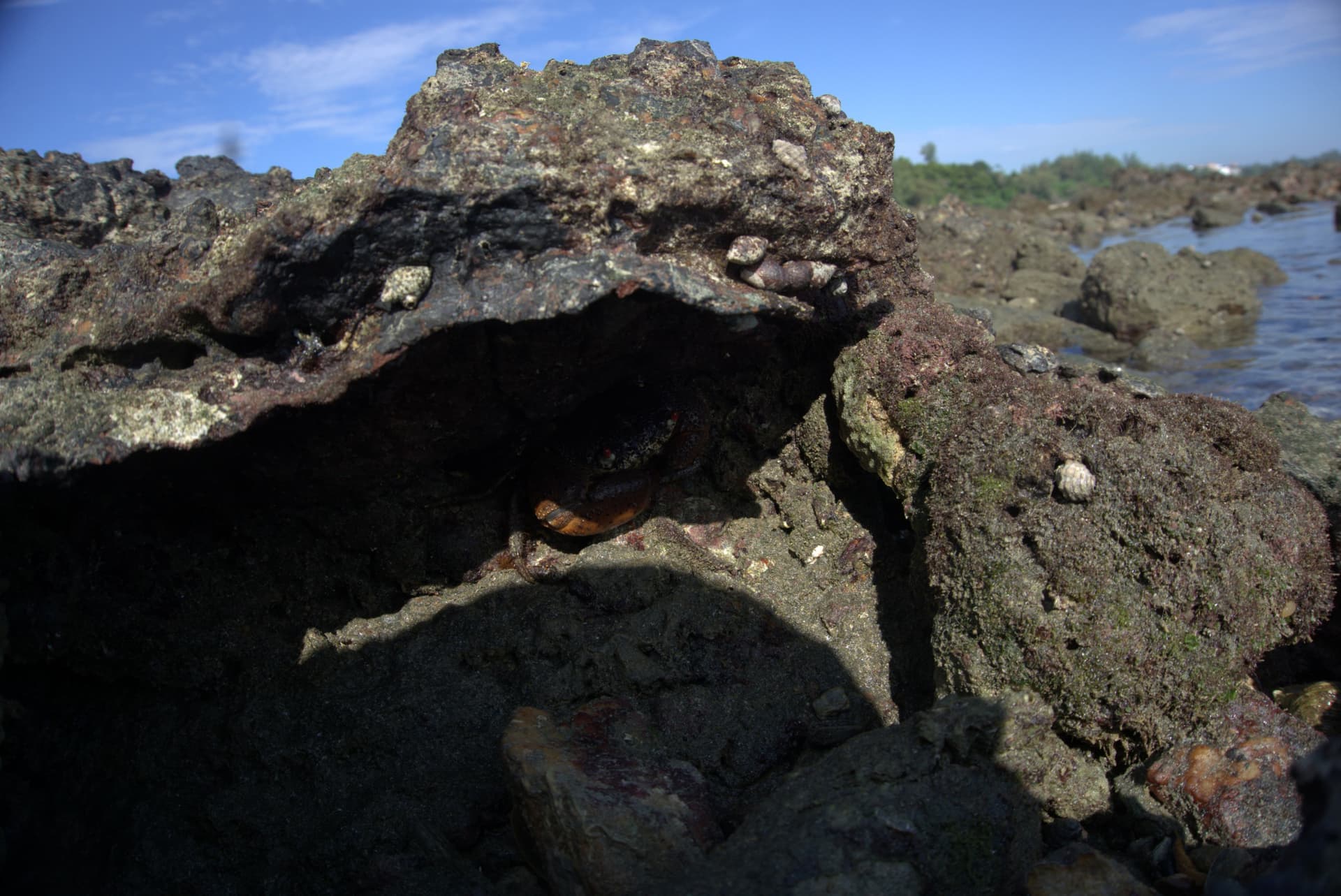 Desaru Beach and Tide Pool Walk - image 39