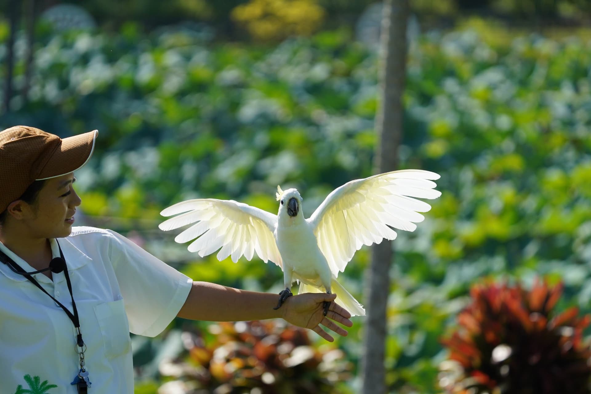 Okinawa Southeast Botanical Gardens - image 34