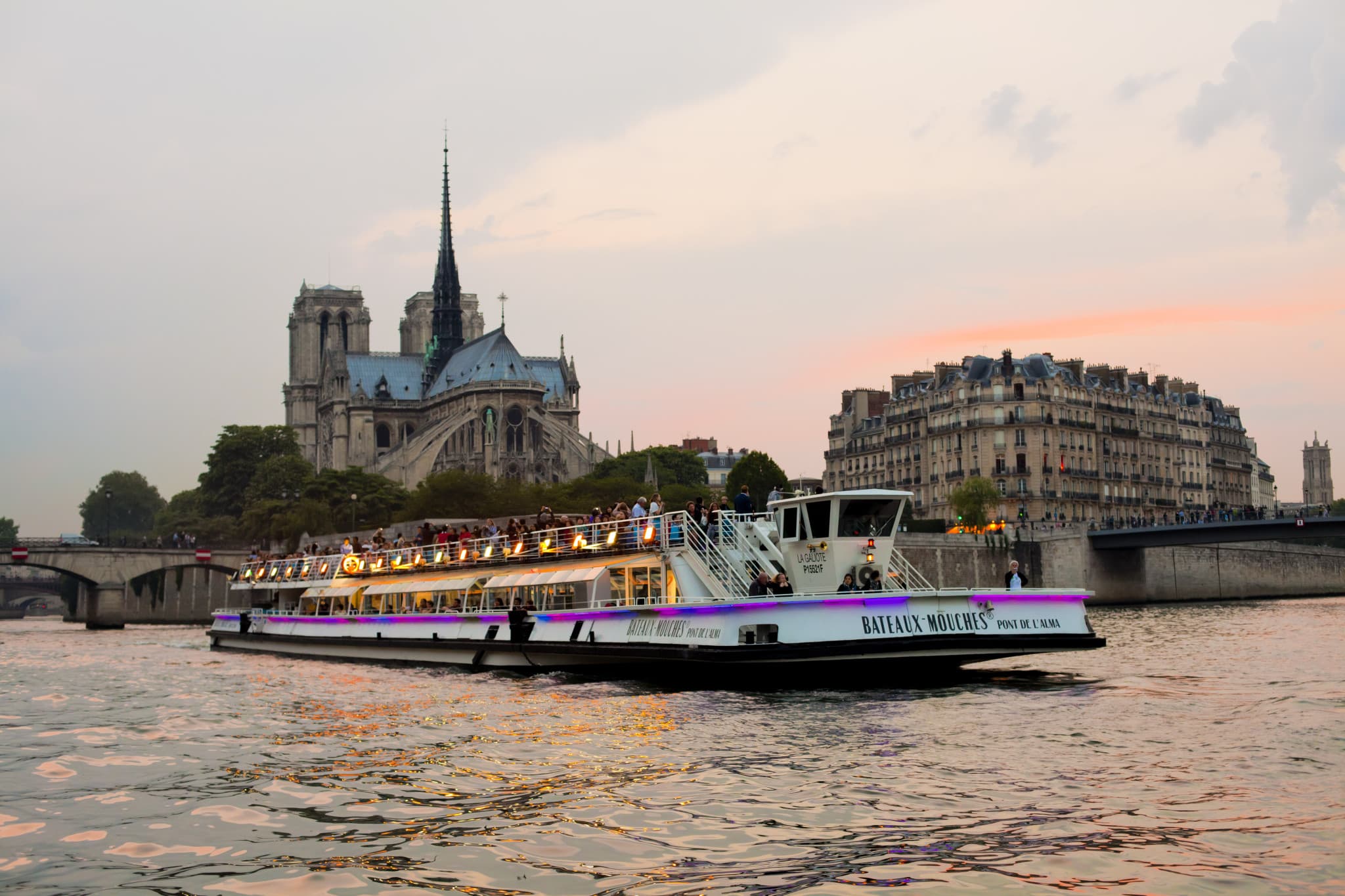 Seine River Sightseeing Cruise by Bateaux Mouches - image 6