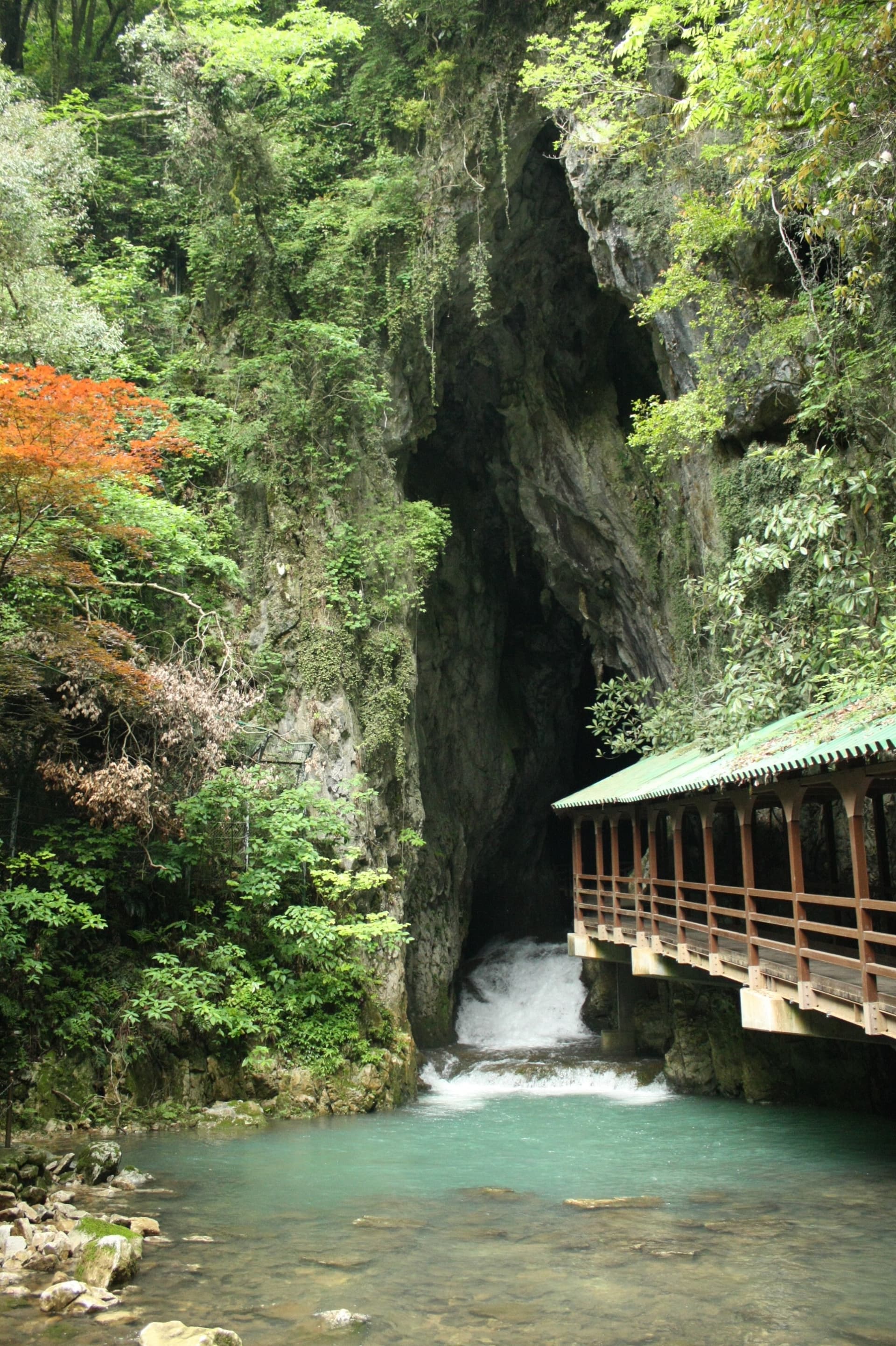 Akiyoshido Cave Ticket - image 3