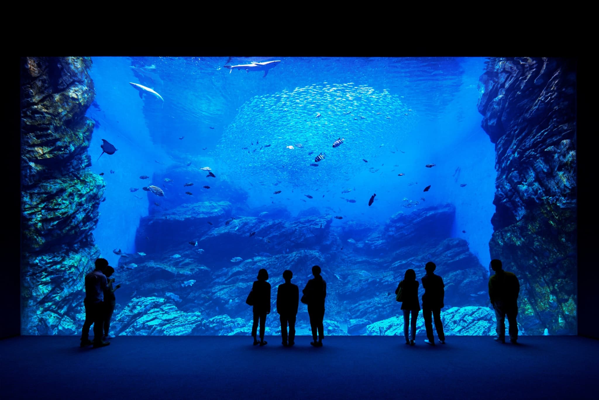 Sendai Umino-Mori Aquarium Ticket - main image