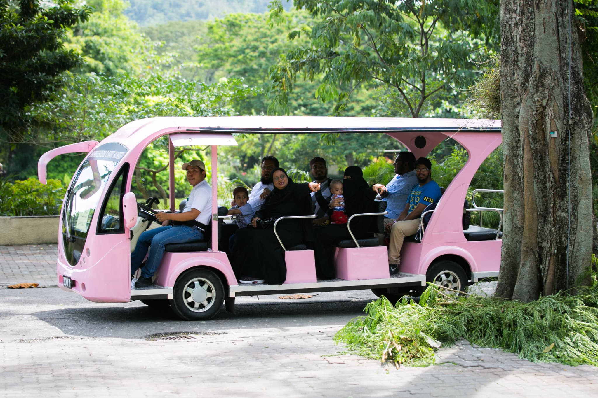 Zoo Negara Malaysia & Panda Conservation Centre Ticket - image 17