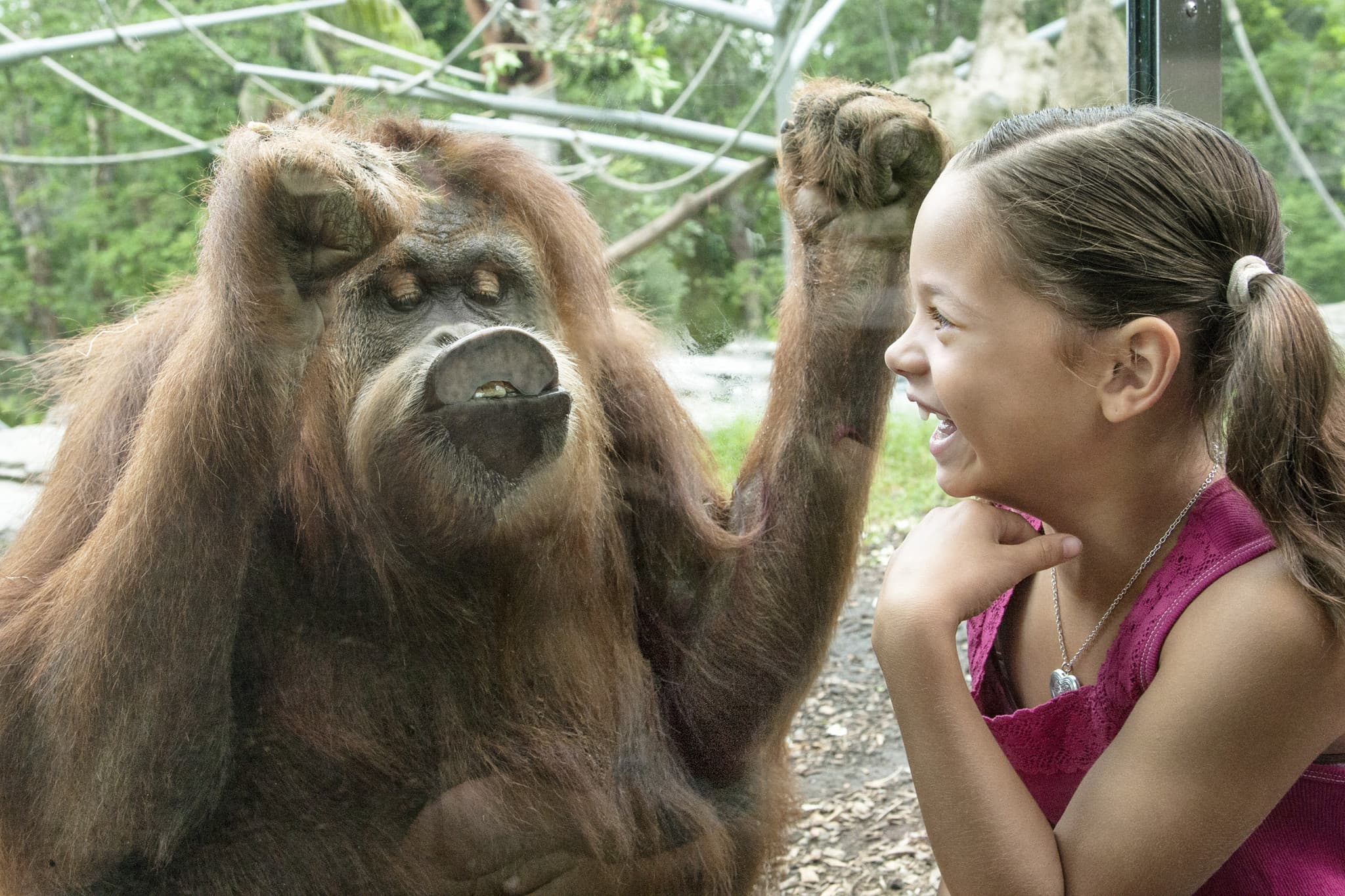 Go City San Diego Explorer Pass: Save up to 50% on Attractions - image 47
