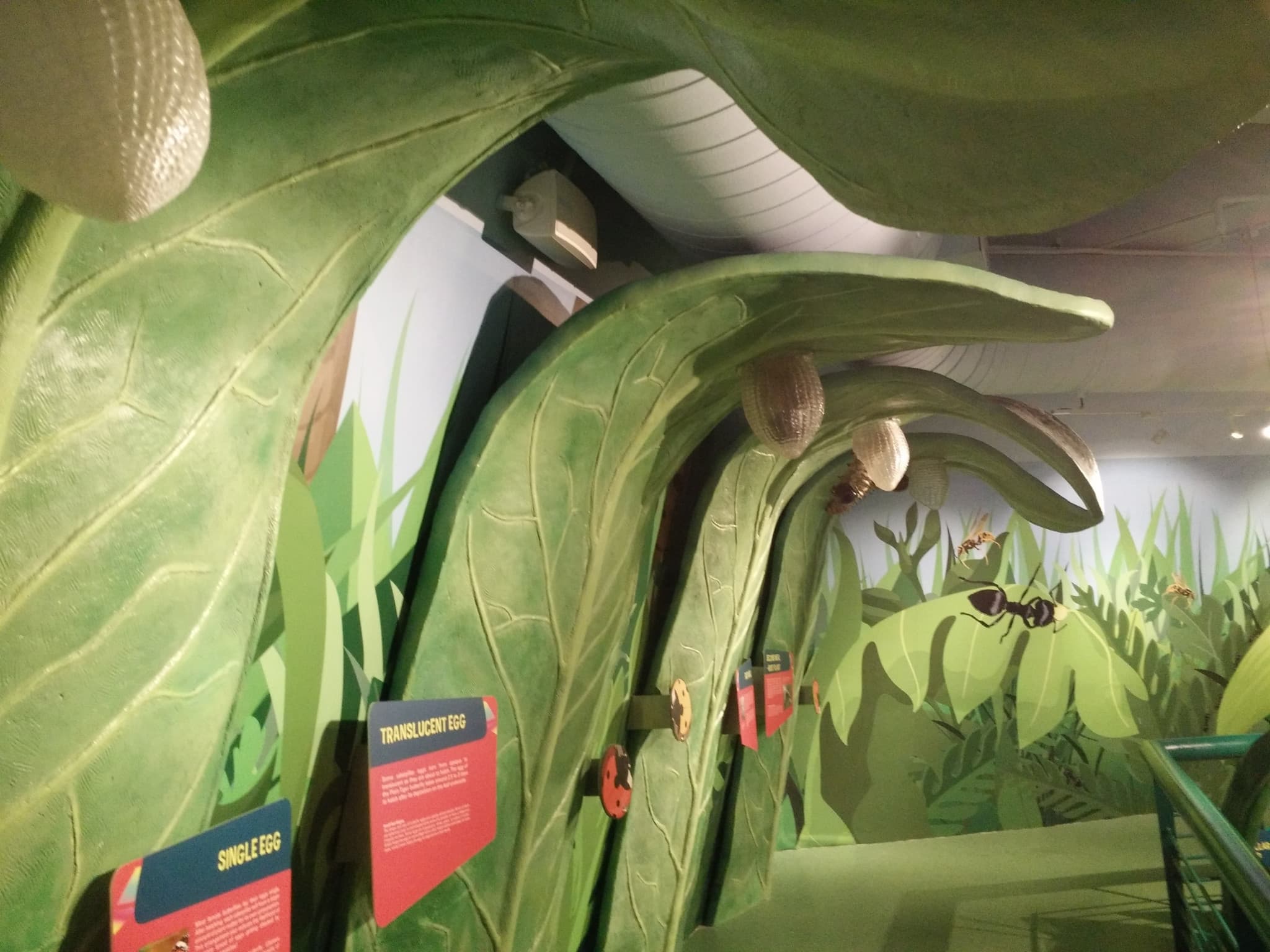 Science Centre Singapore, Omni Theatre, and KidsSTOP Singapore Ticket - image 7