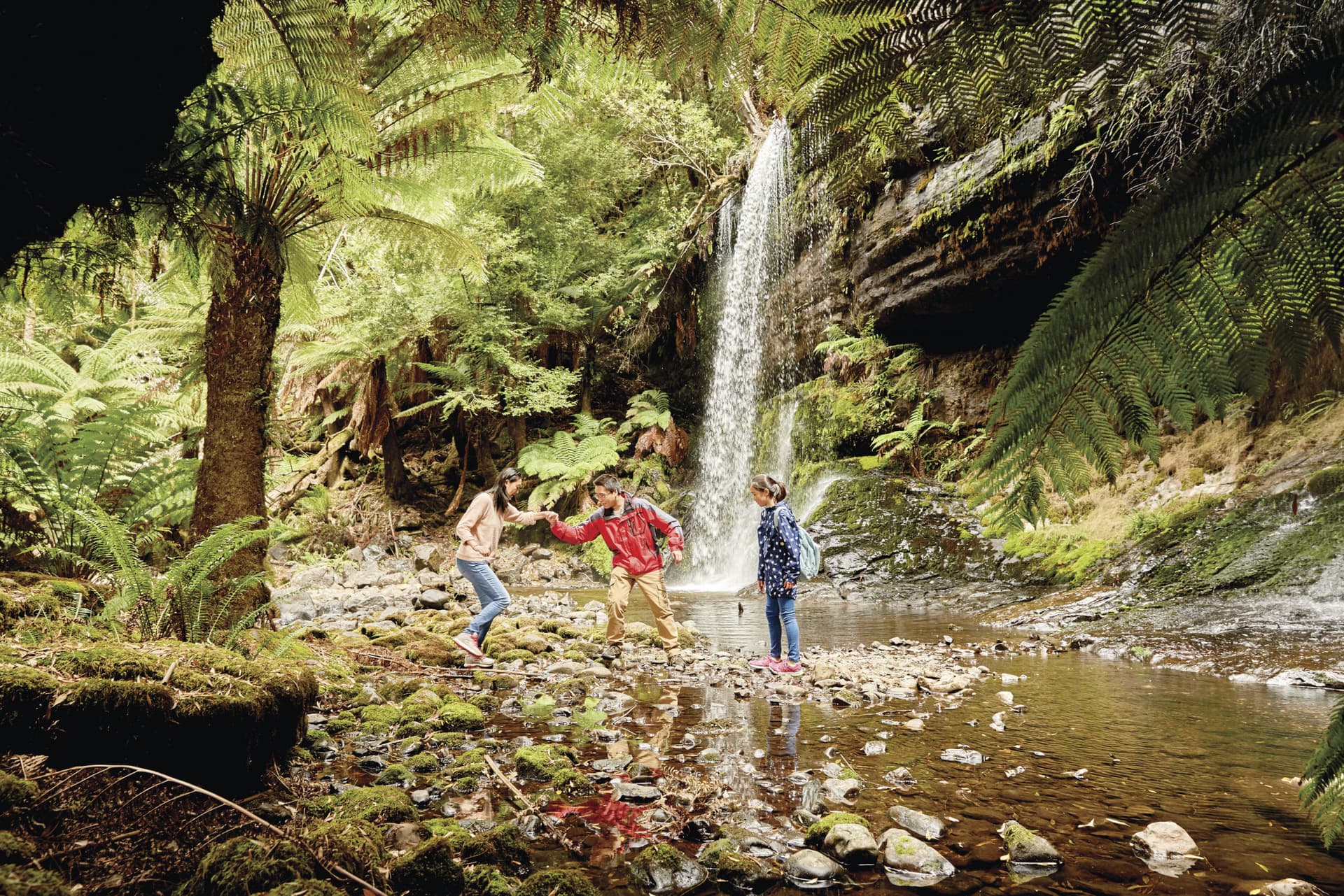 Russell Falls Tour from Hobart - imagen principal