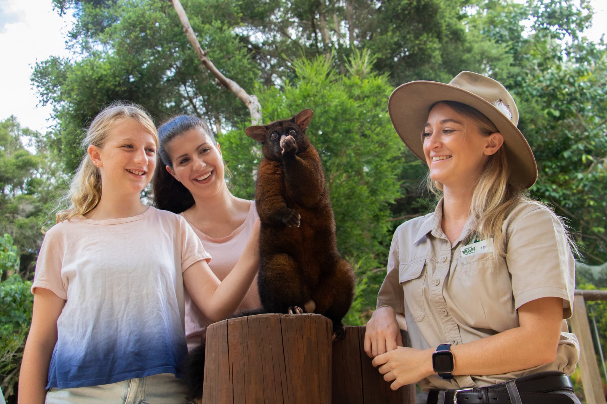 Currumbin Wildlife Sanctuary Gold Coast Ticket - image 13