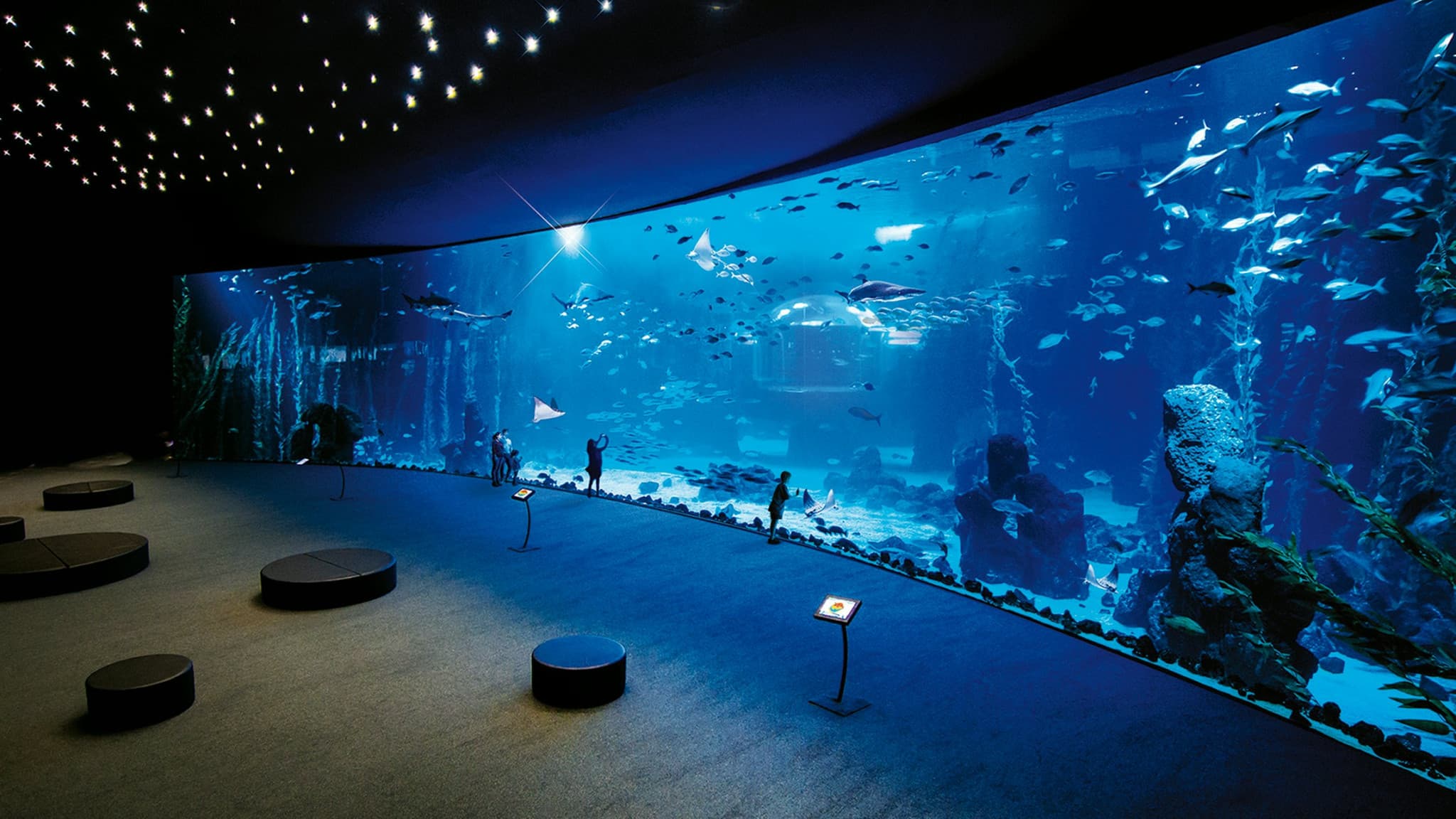 Poema del Mar - Aquarium Gran Canaria: Skip The Line Ticket - image 7