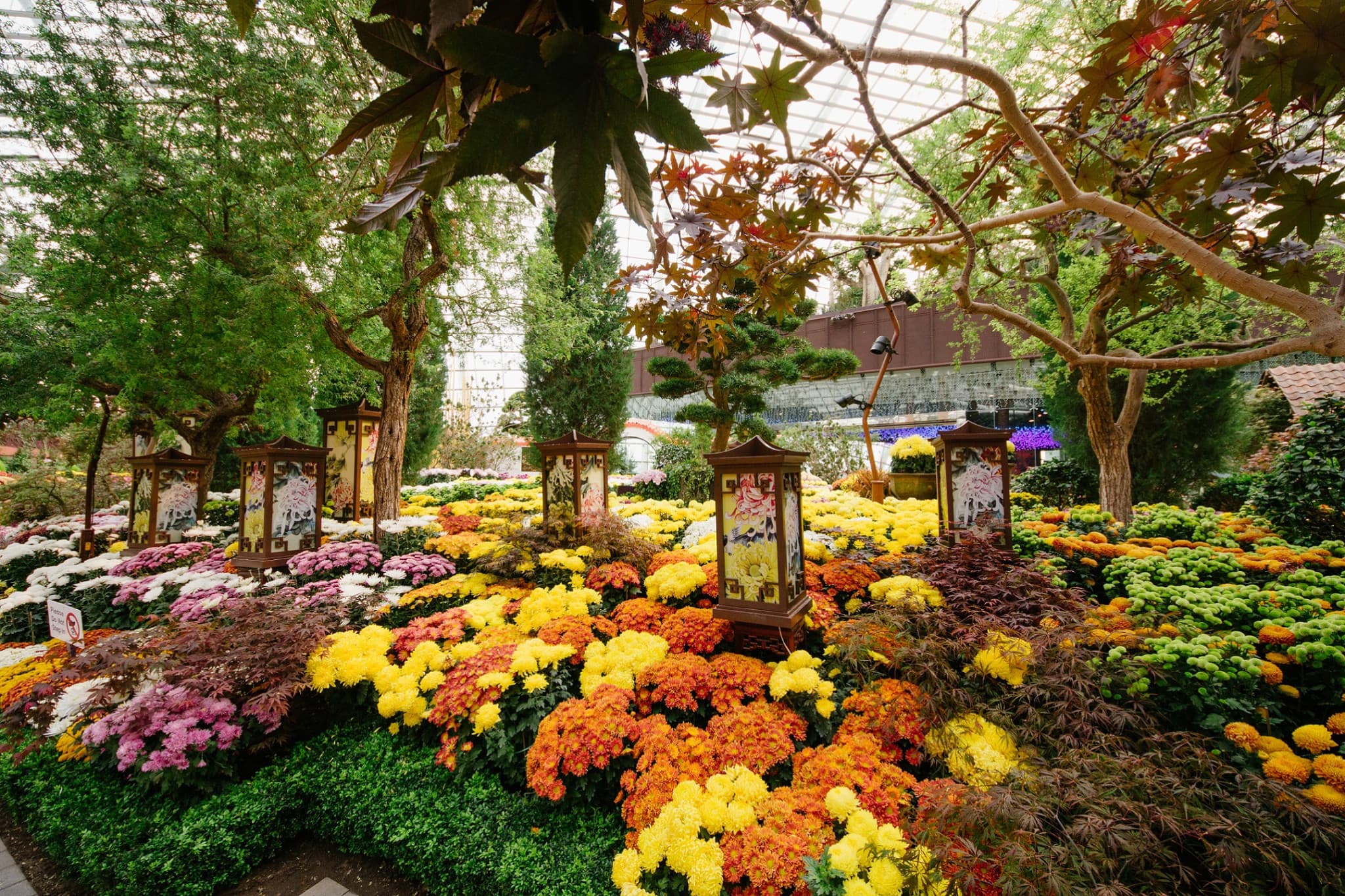 COMBO: Gardens by the Bay - Floral Fantasy + National Orchid Garden - image 9