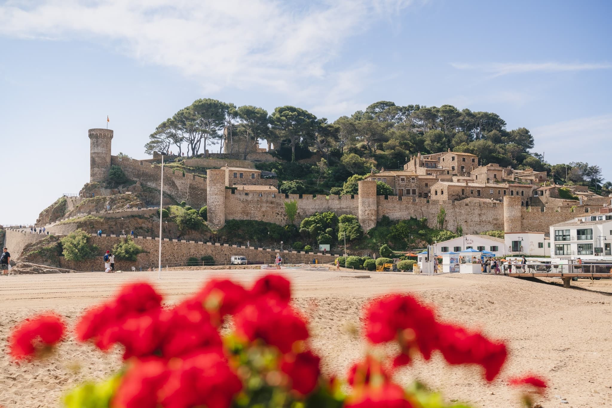 Montserrat, Girona, and Costa Brava Tour from Barcelona - image 13
