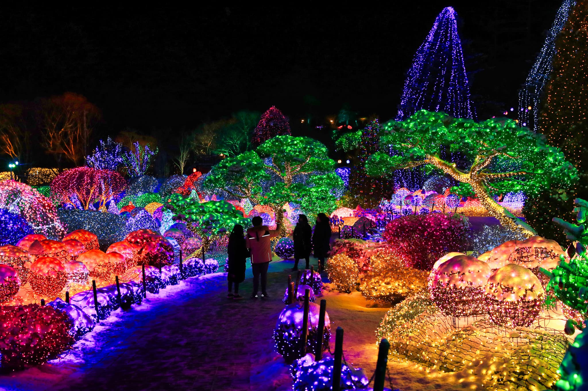Nami Island, Mount Seorak, and Garden of Morning Calm Full-Day Tour from Seoul - image 16