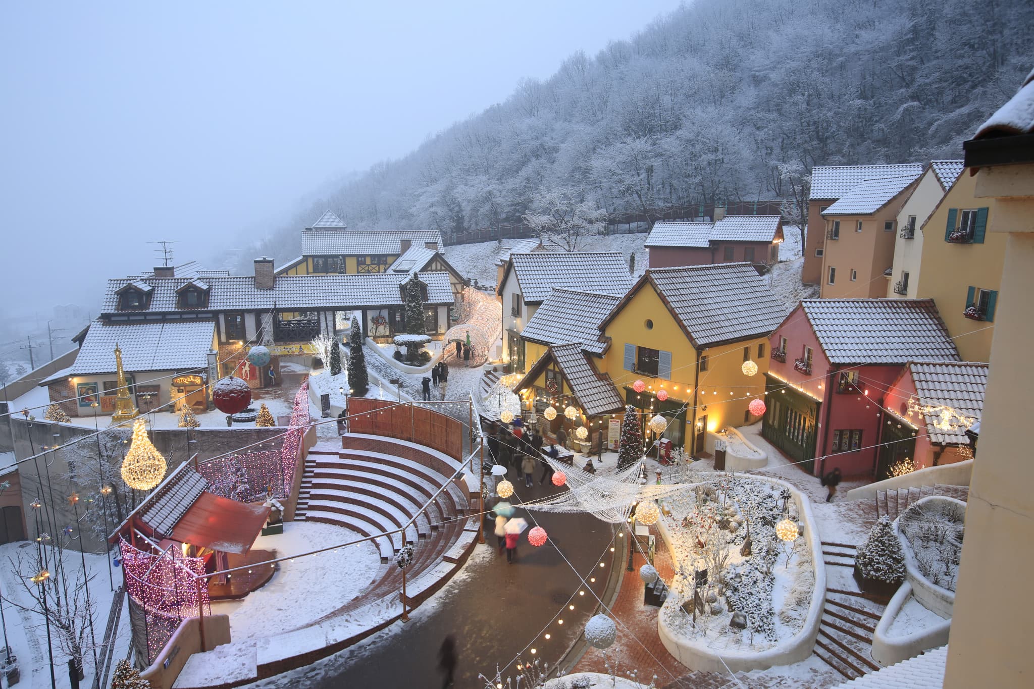 Nami Island, Petite France, Italian Village, and Garden of Morning Calm Tour from Seoul - image 5