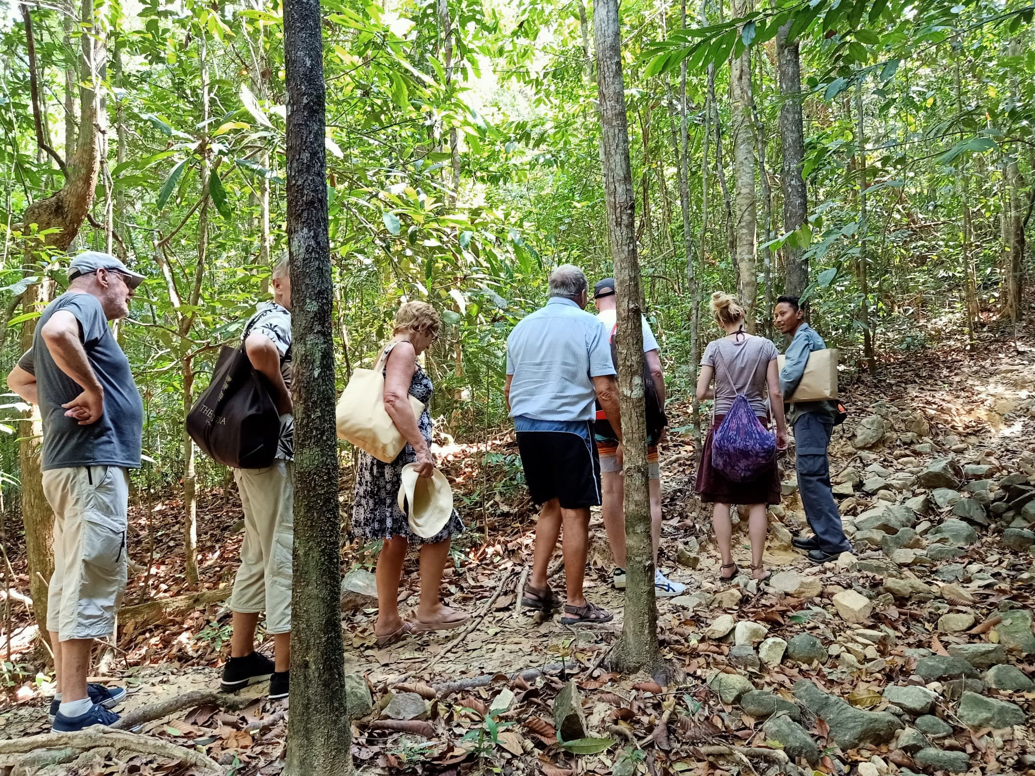 Langkawi Morning Rainforest Walking Tour - image 2