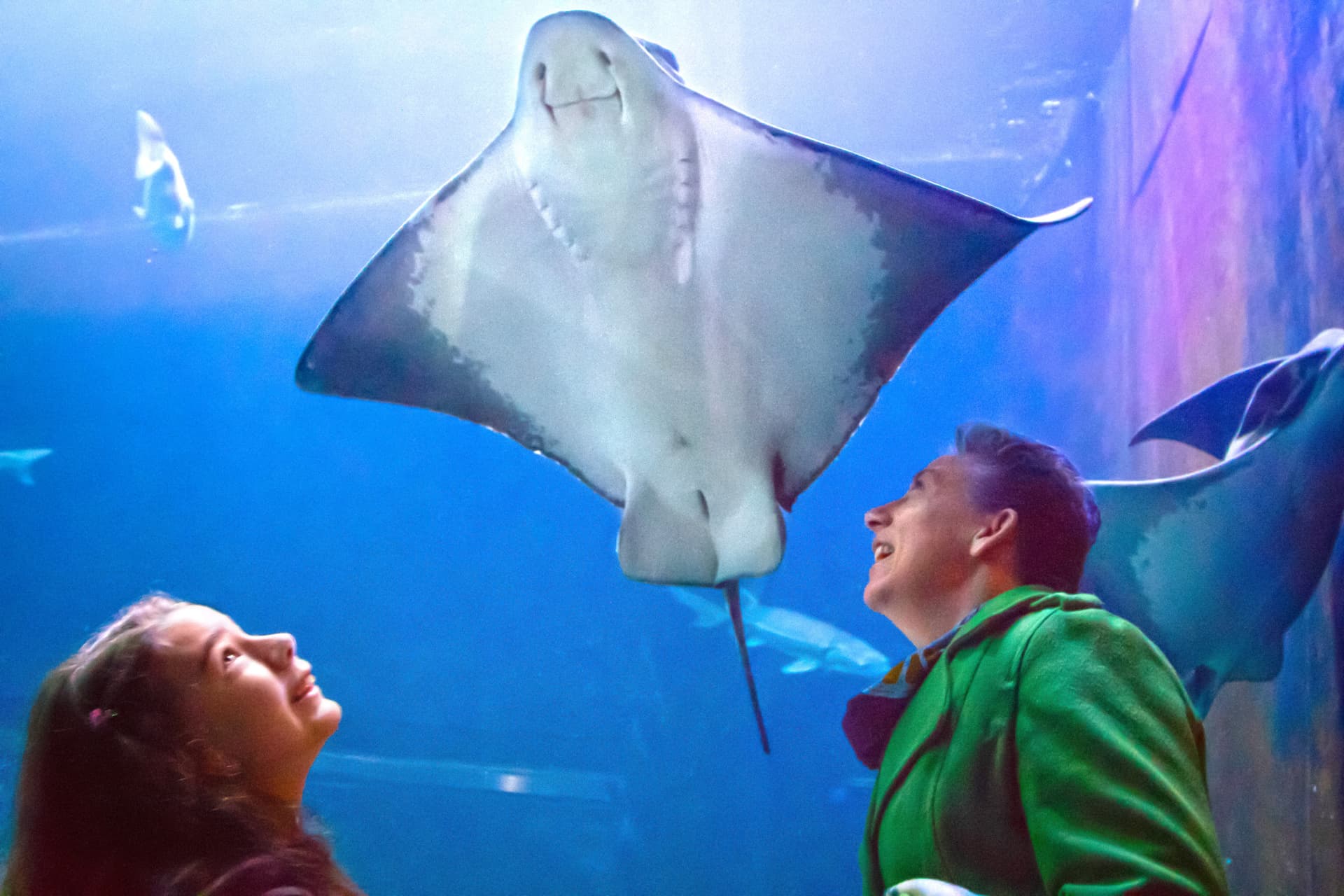 Go City San Francisco All-Inclusive Pass: Save up to 50% on Attractions - image 21