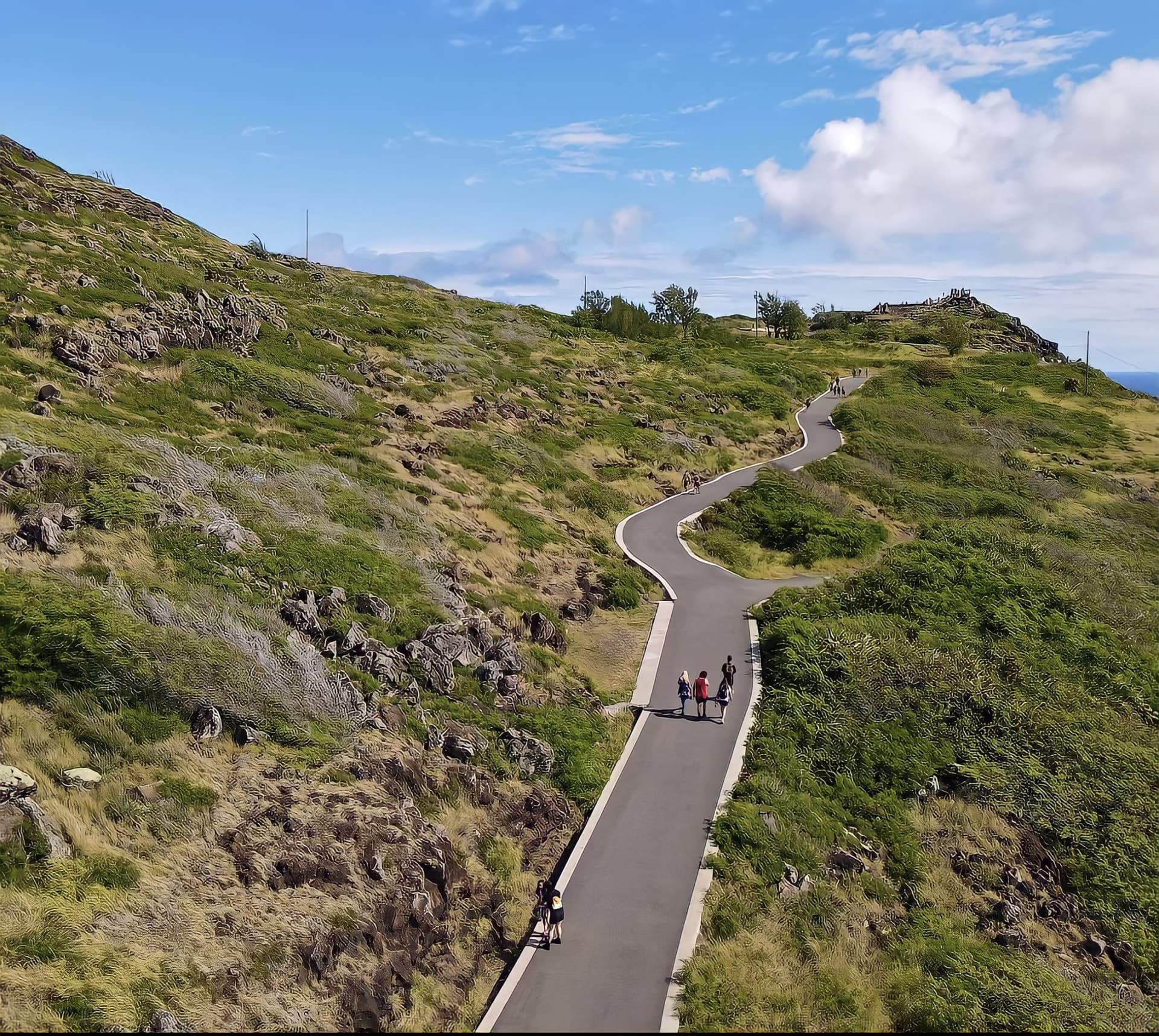 Go City Oahu Explorer Pass: Save up to 50% on Attractions - image 47