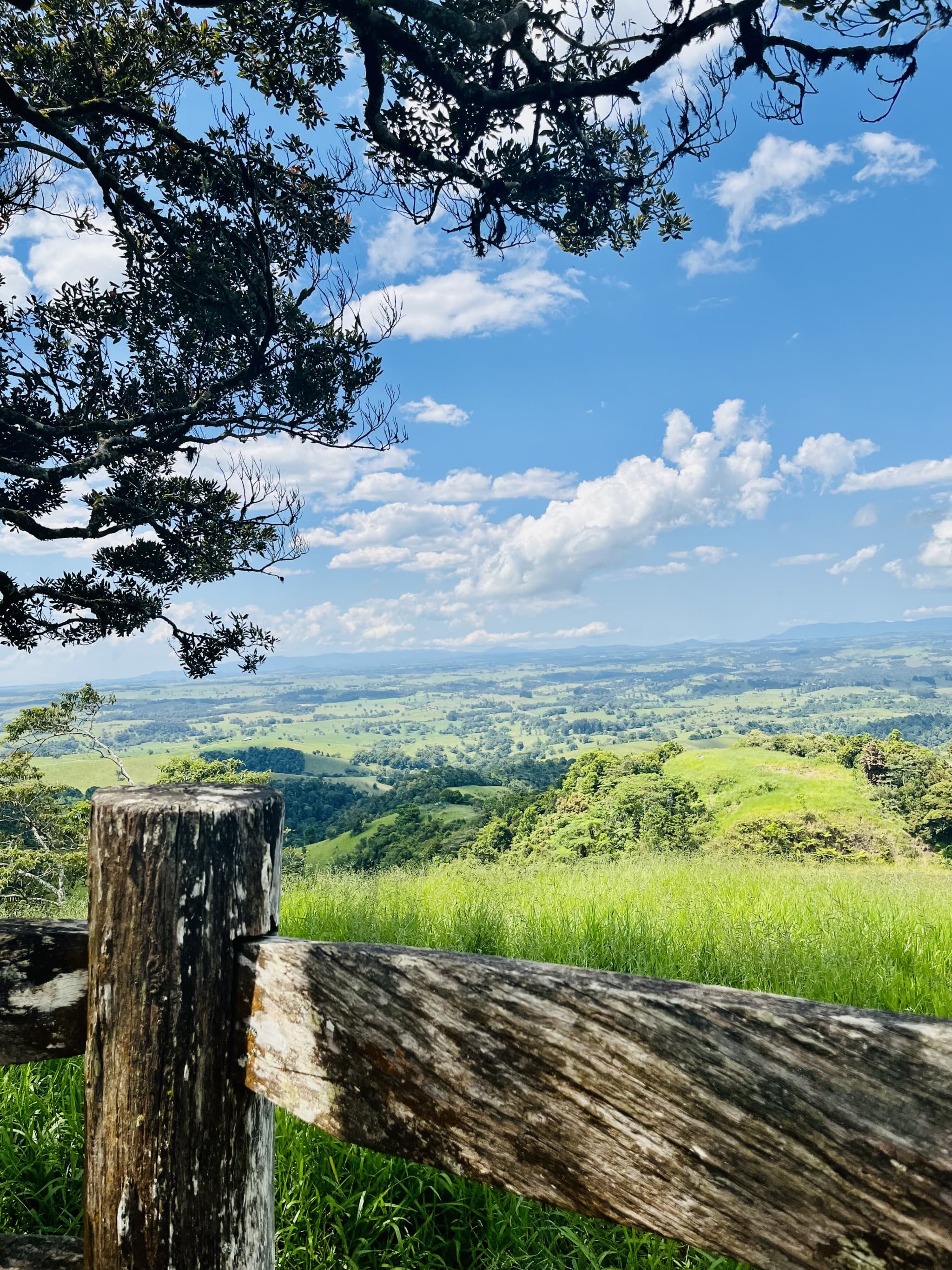 Australian Outback Food and Wine Tasting Tour from Port Douglas - image 9