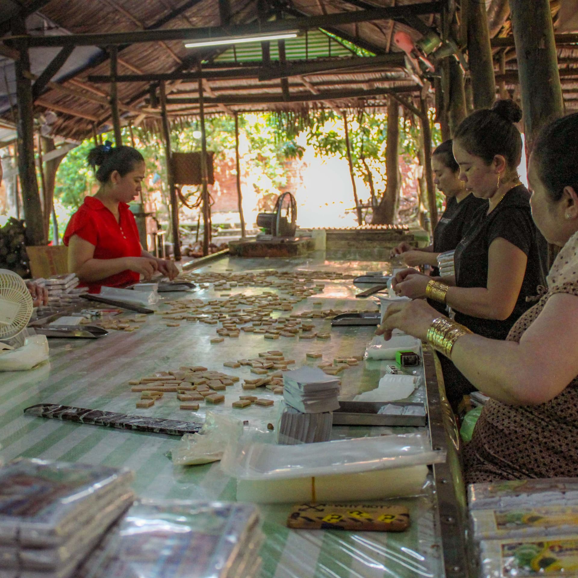 Cu Chi Tunnels and Mekong Delta Full-Day Tour from Ho Chi Minh - image 21