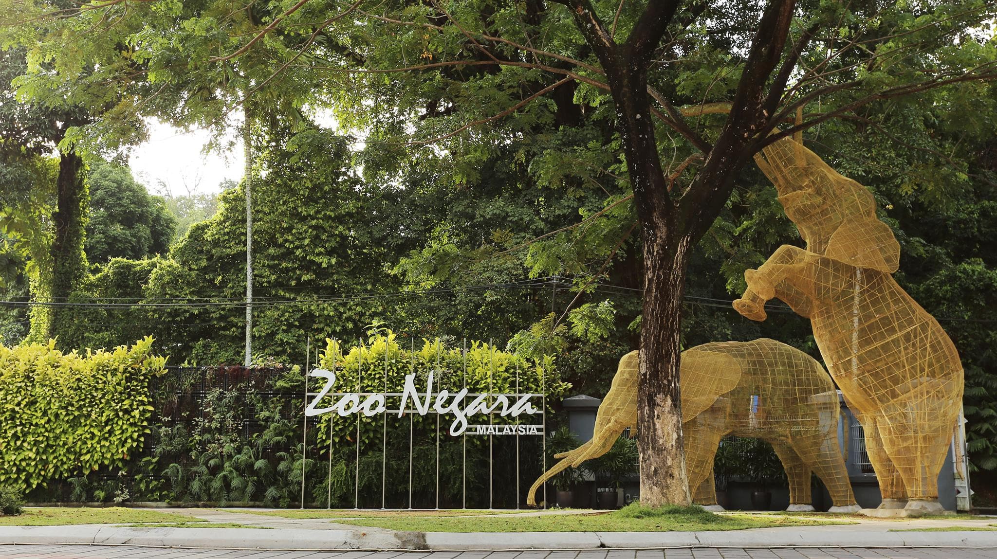 Zoo Negara Malaysia & Panda Conservation Centre Ticket - image 22