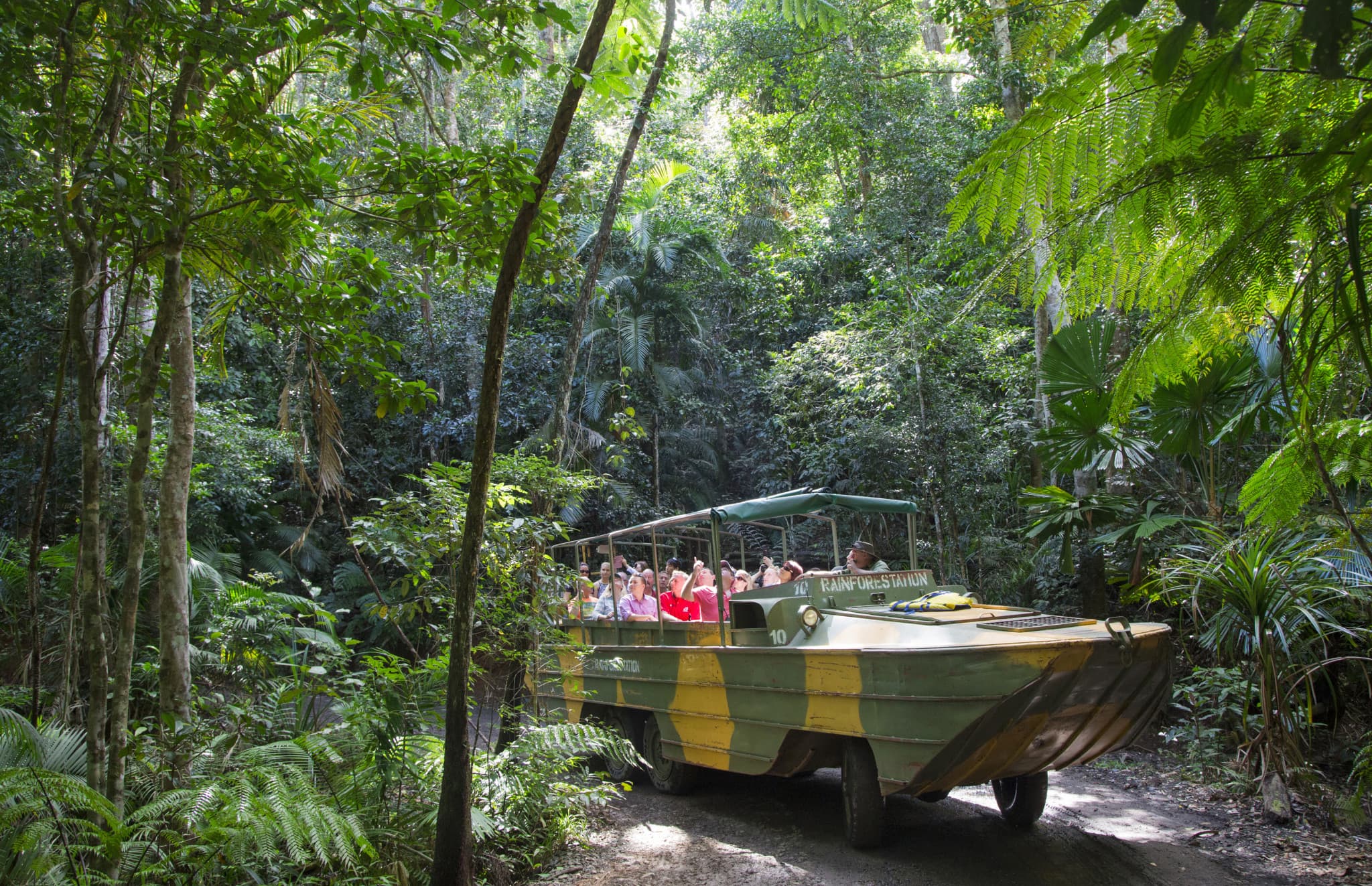 Kuranda Rainforestation Nature Park Full-Day Tour from Cairns - image 3