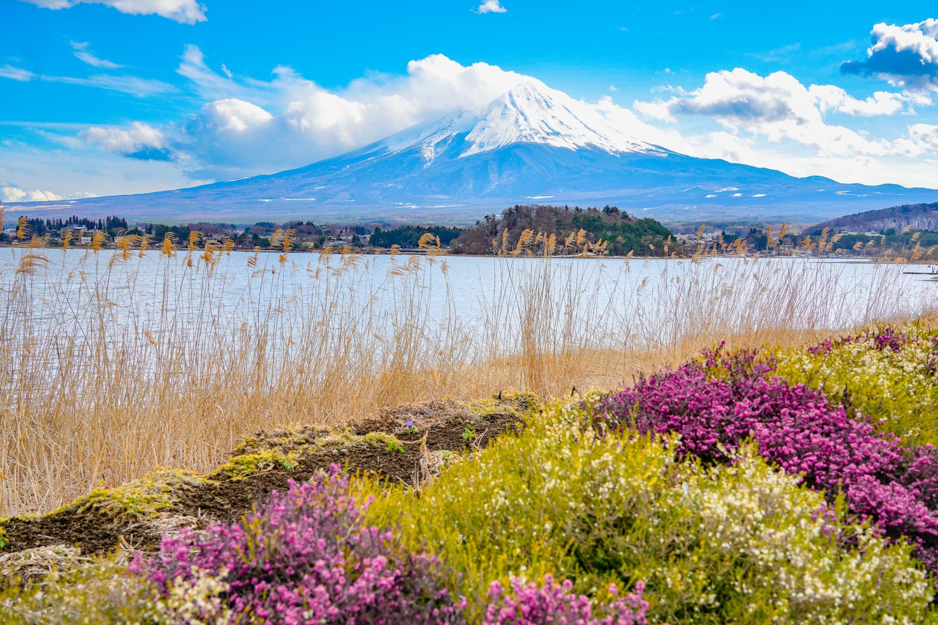 Mount Fuji, Kamakura, Lake Ashi, and Big Buddha Full-Day Tour from Tokyo - main image
