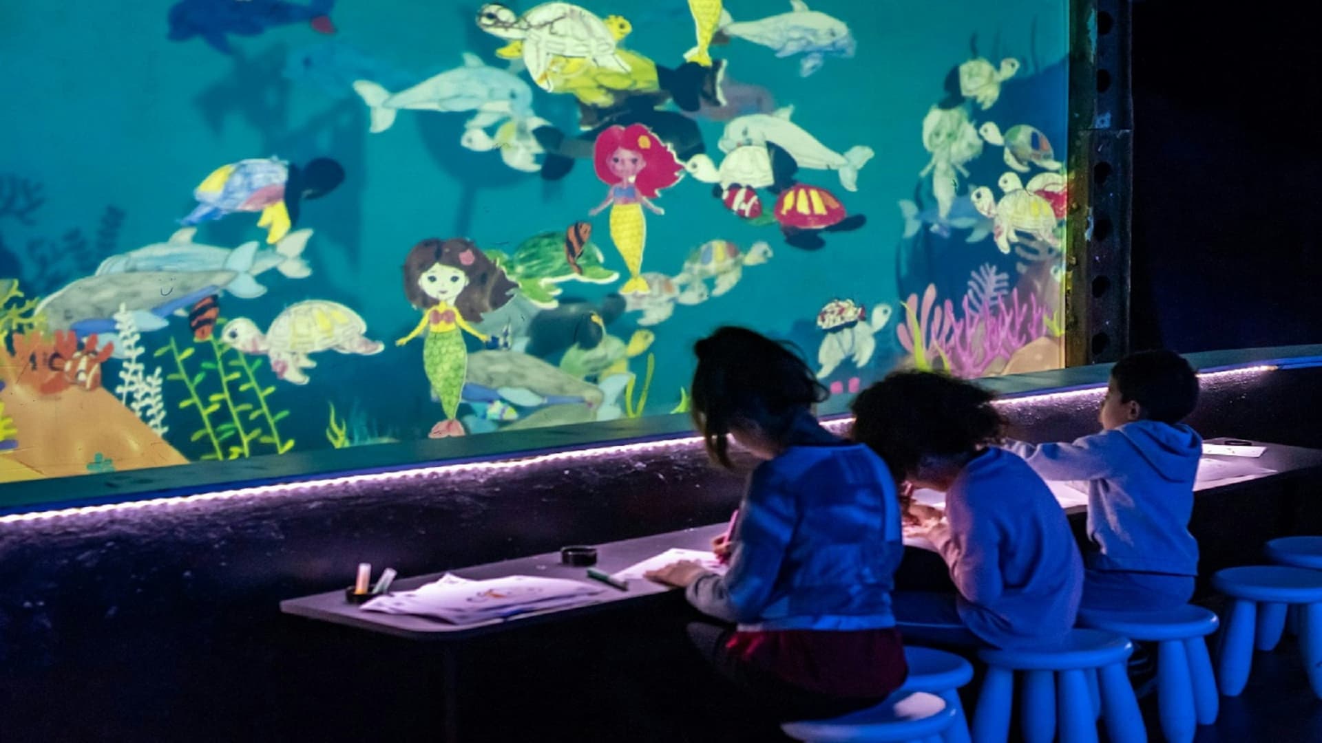 Seaquarium Le Grau-du-Roi Ticket - image 5