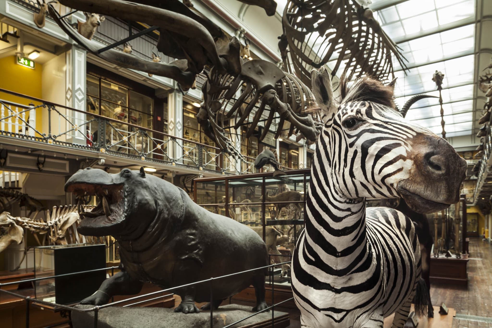 Go City Dublin All-Inclusive Pass: Save up to 50% on Attractions - image 37