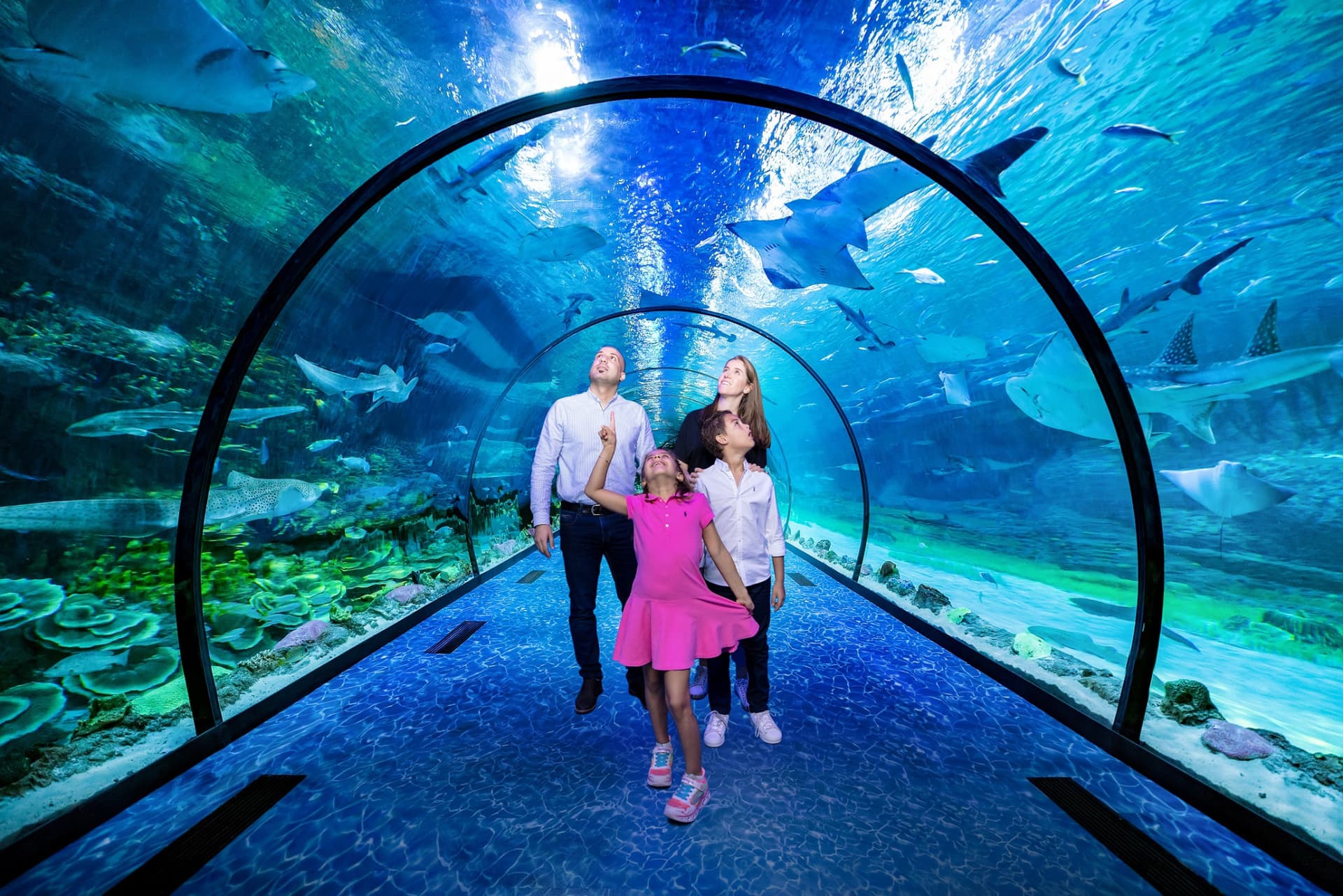 The National Aquarium Abu Dhabi Ticket - main image