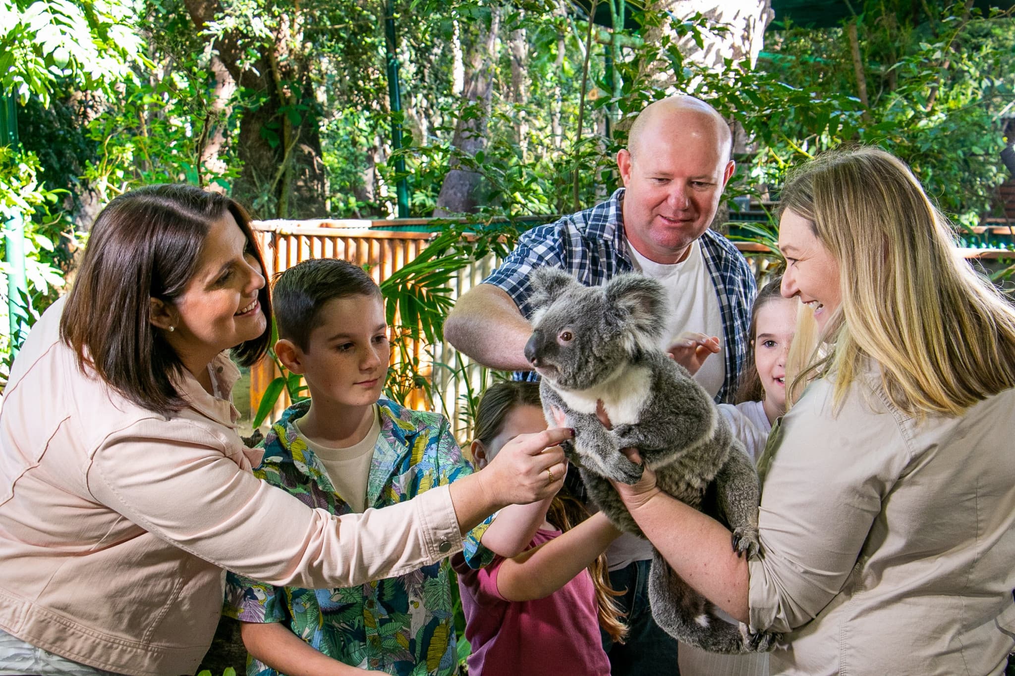 Currumbin Wildlife Sanctuary Gold Coast Ticket - image 11