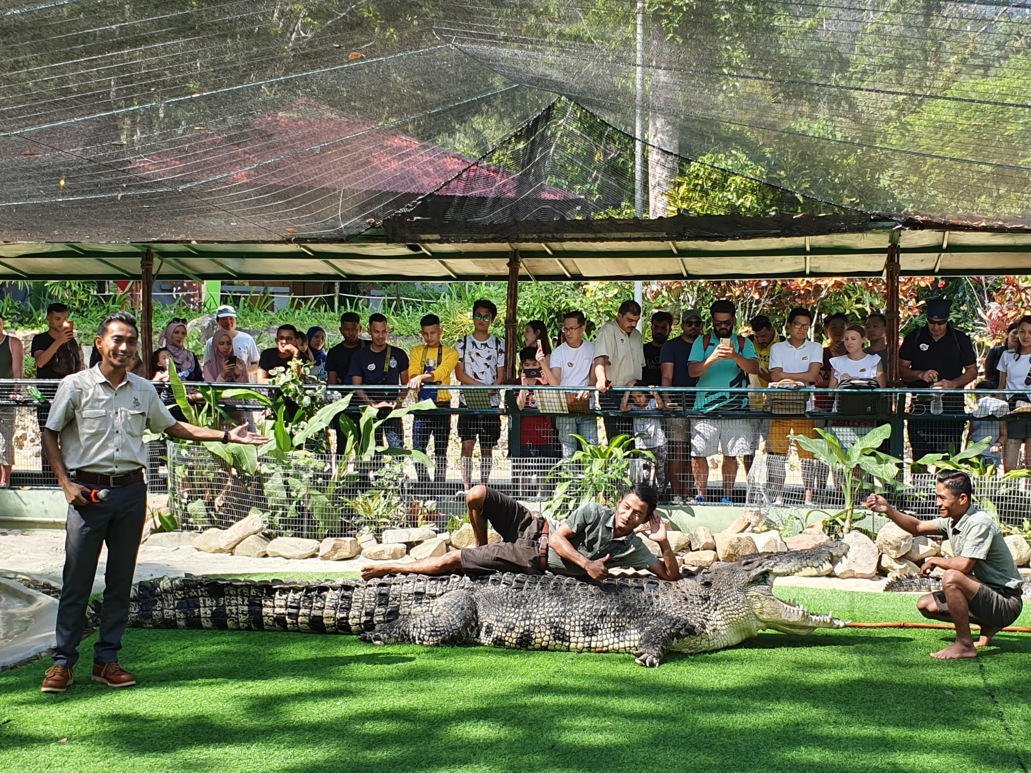 Crocodile Adventureland Langkawi - image 8