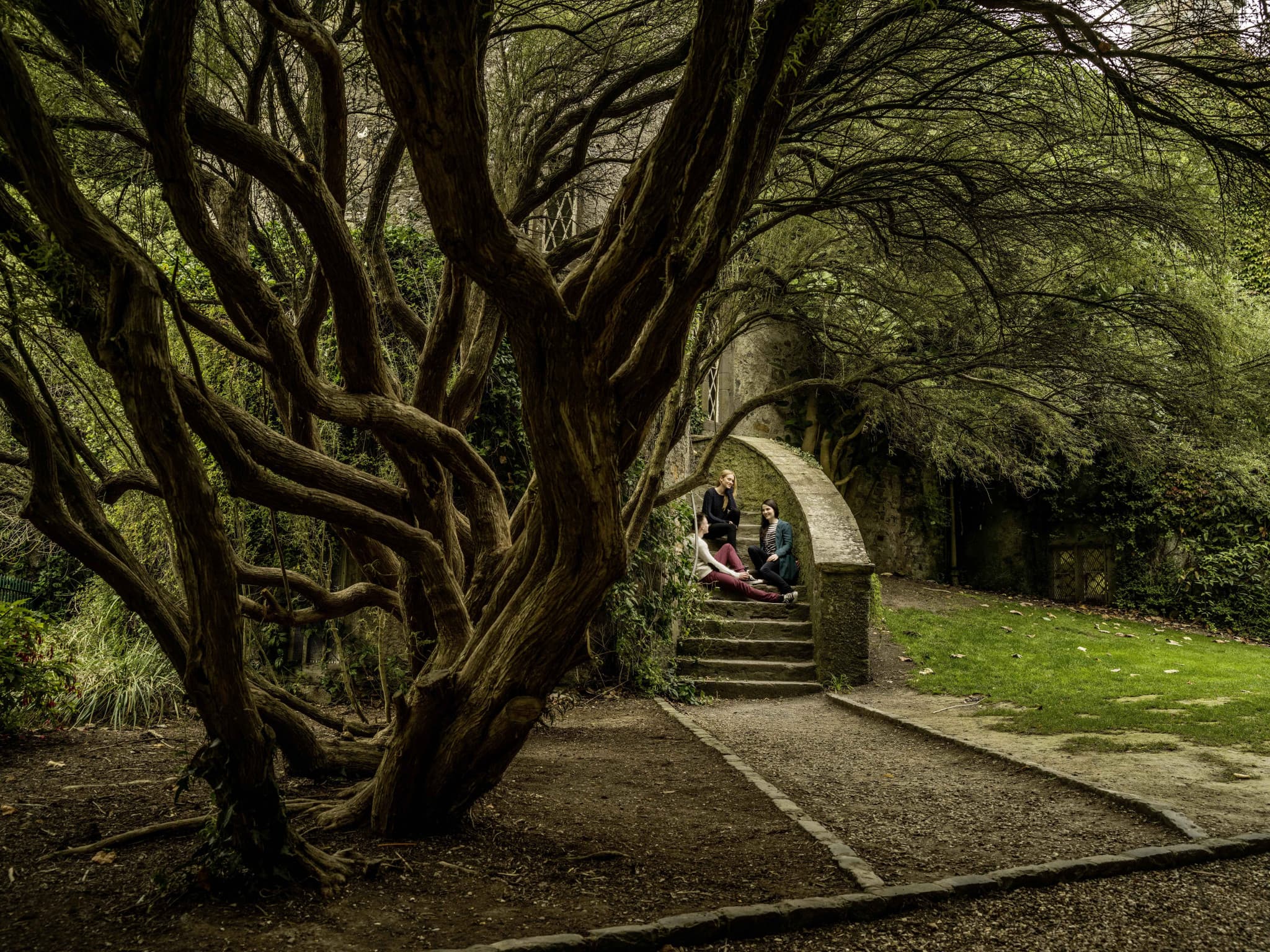Go City Dublin Explorer Pass: Save up to 50% on Attractions - image 23