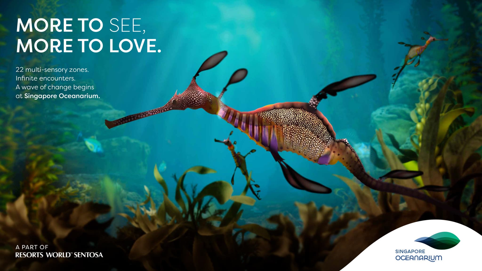 Singapore Oceanarium Insider Experience - main image