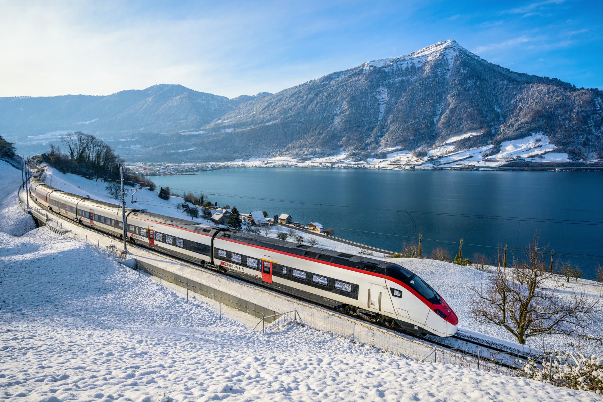 Swiss Travel Pass Flex Family Card (Non-Consecutive Days within One Month) - image 2