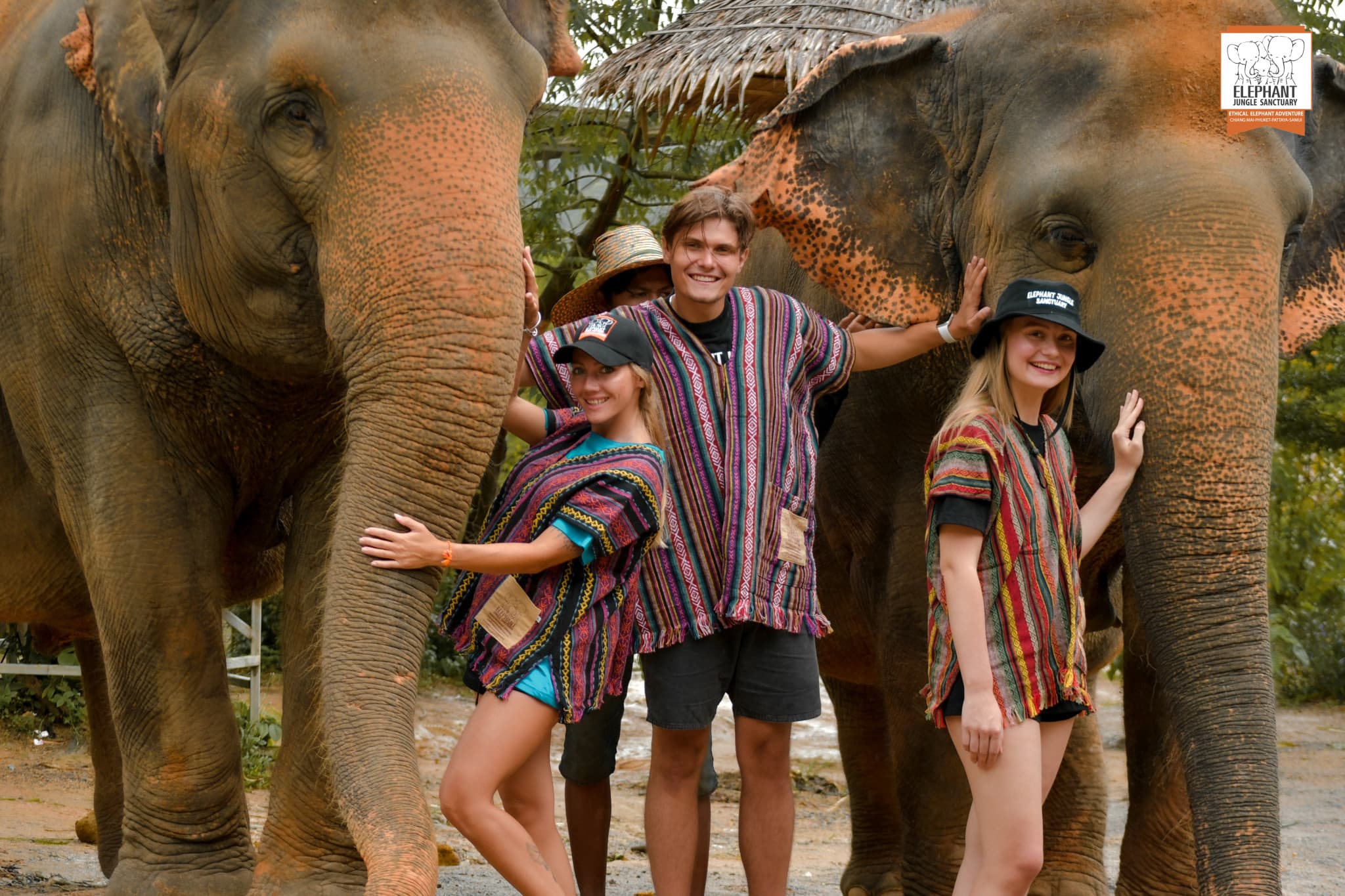 Elephant Jungle Sanctuary Phuket - image 9
