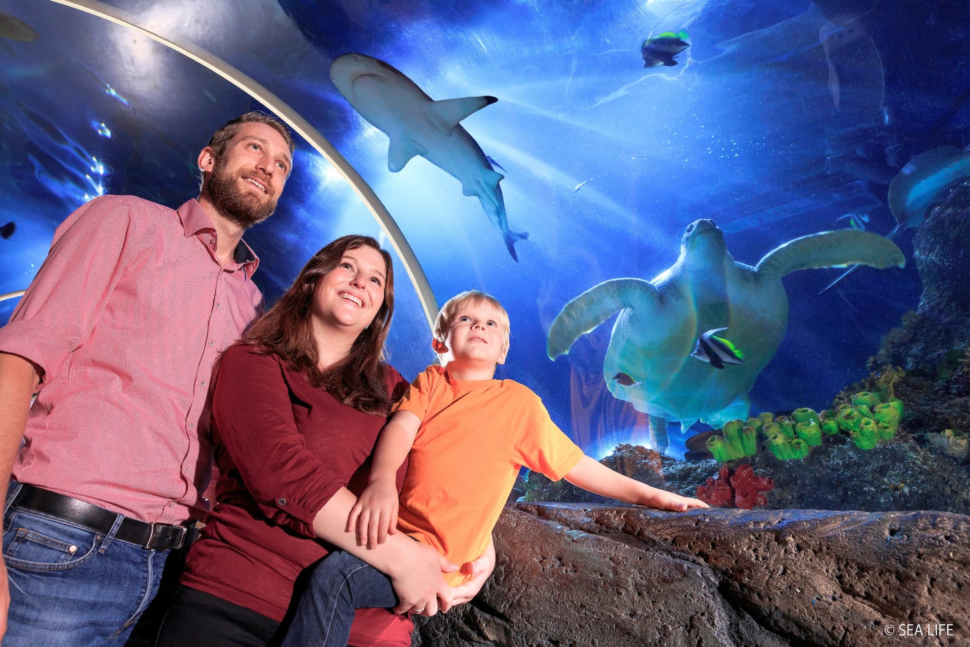 SEA LIFE Konstanz Aquarium Ticket - imagen principal