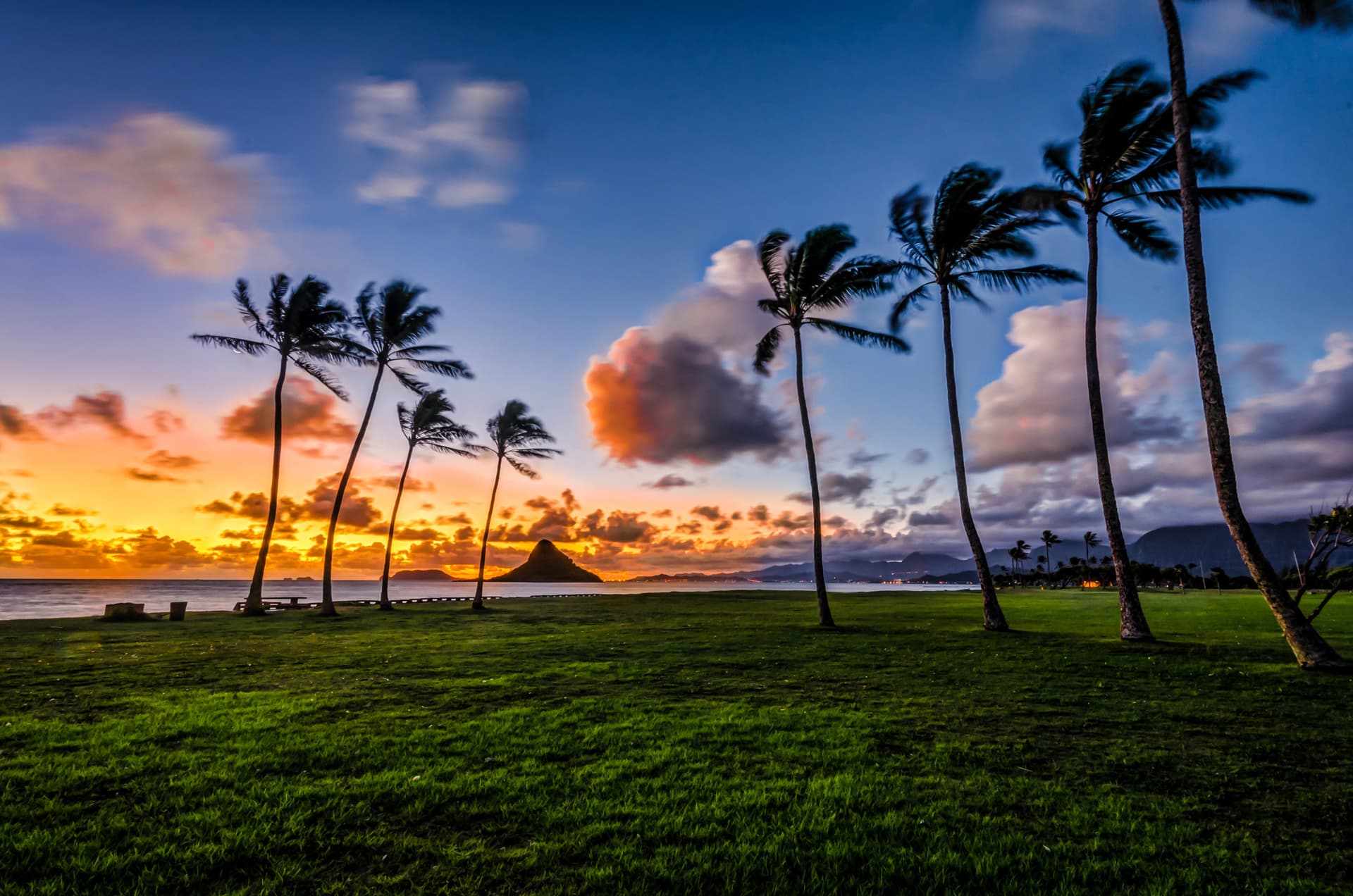 Go City Oahu Explorer Pass: Save up to 50% on Attractions - image 19