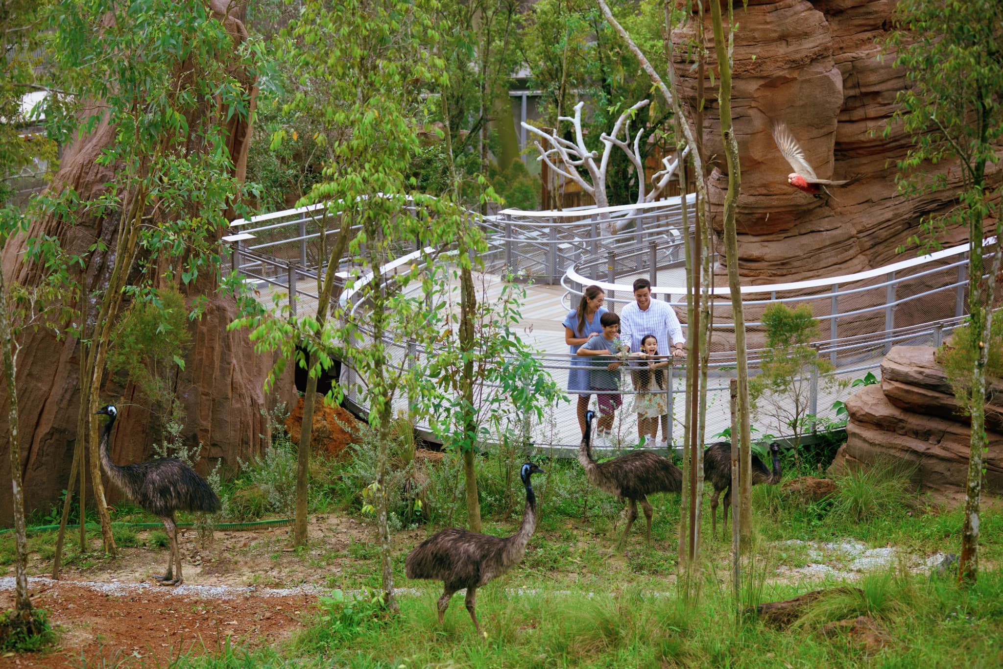Singapore Bird Paradise Ticket - image 12