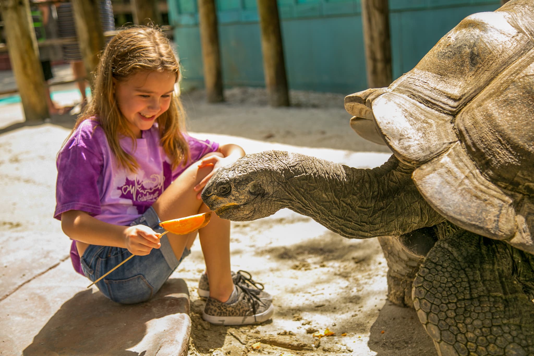 Go City Orlando Essentials Pass: 3 Attractions - image 17