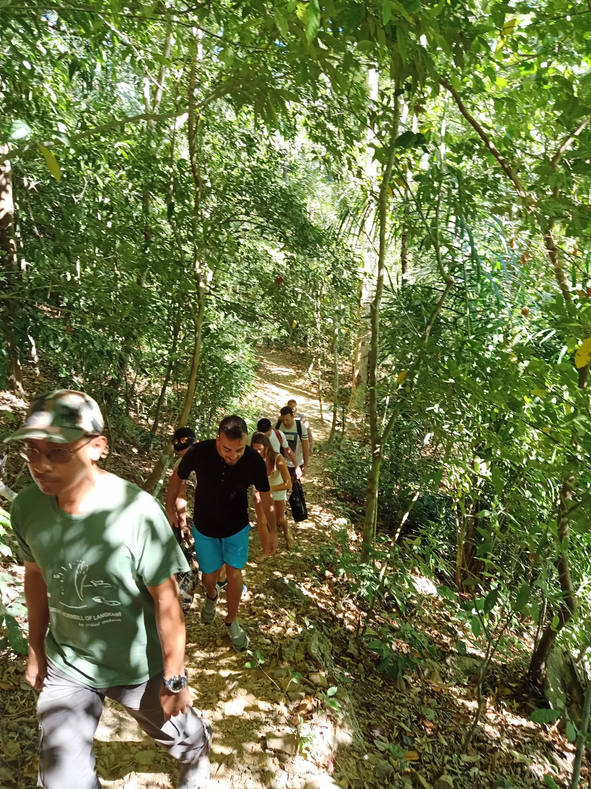 Langkawi Morning Rainforest Walking Tour - image 9