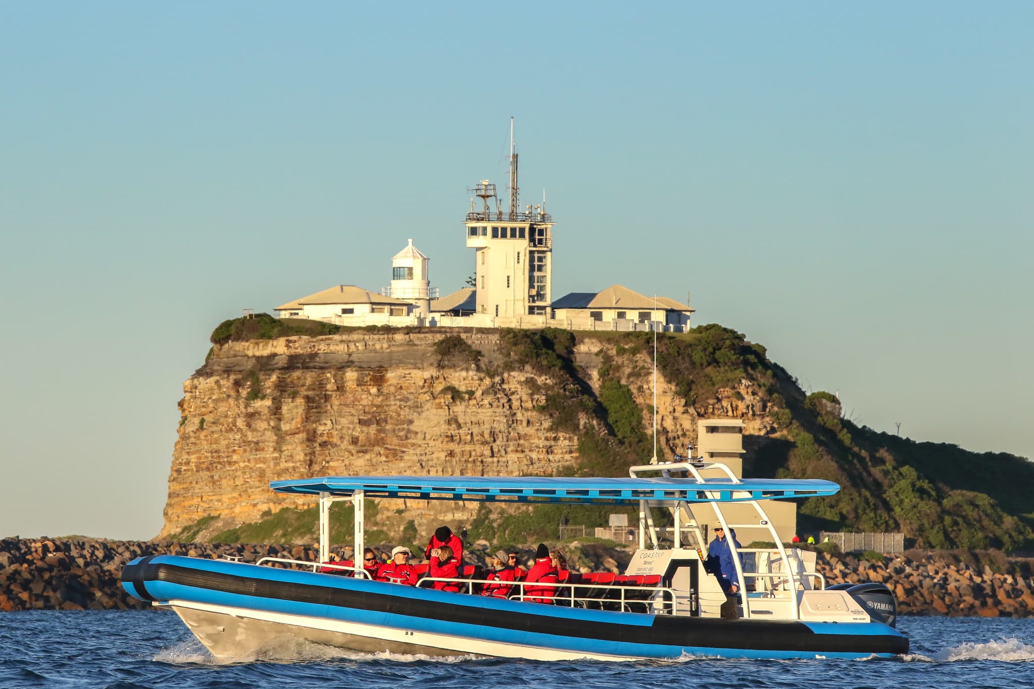 Newcastle Whale Watching Cruise aboard CoastXP - image 2