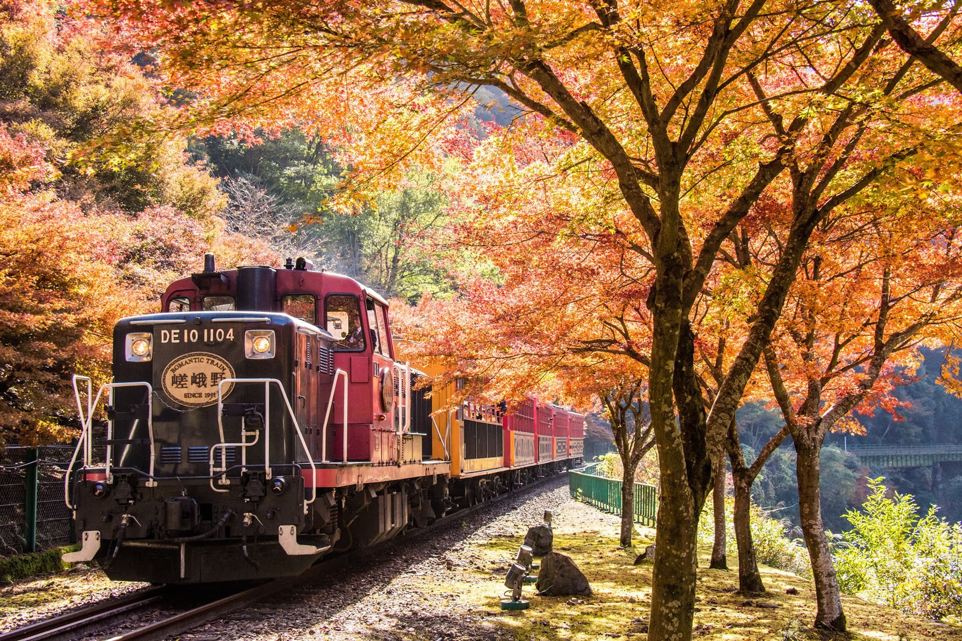Sagano Romantic Train - image 12