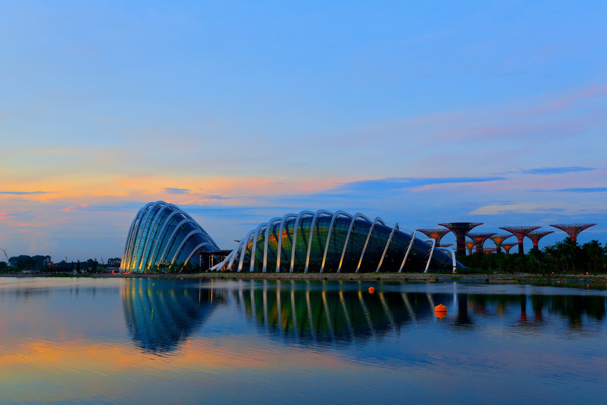 COMBO: Gardens by the Bay + National Orchid Garden Ticket - image 15