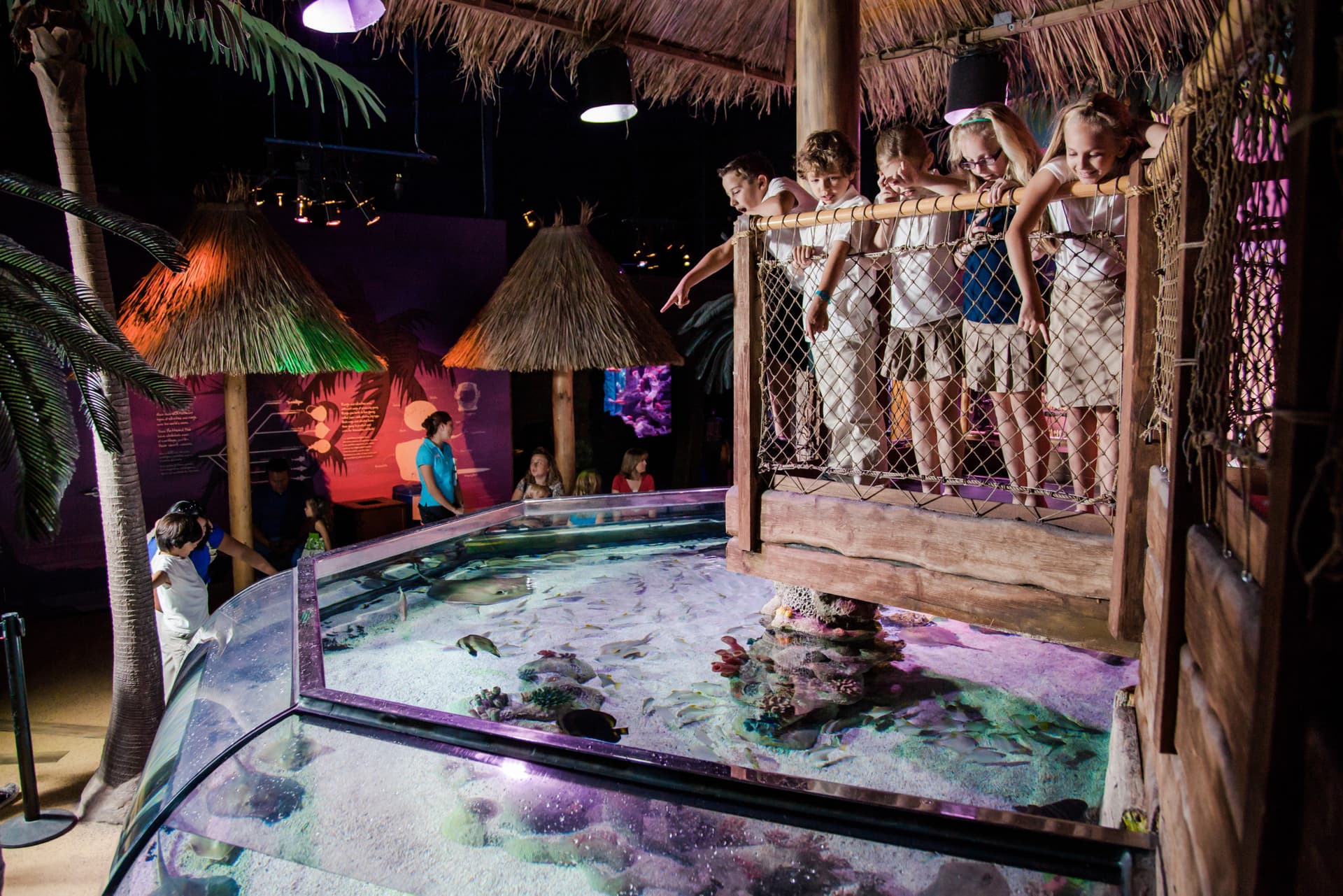 Go City San Antonio Essentials Pass: 3 atracciones - imagen 10