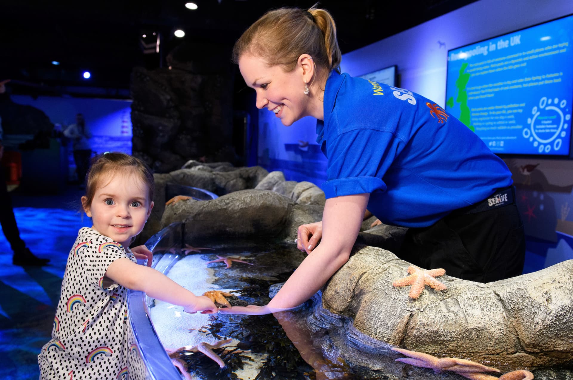SEA LIFE London Aquarium Ticket - image 9