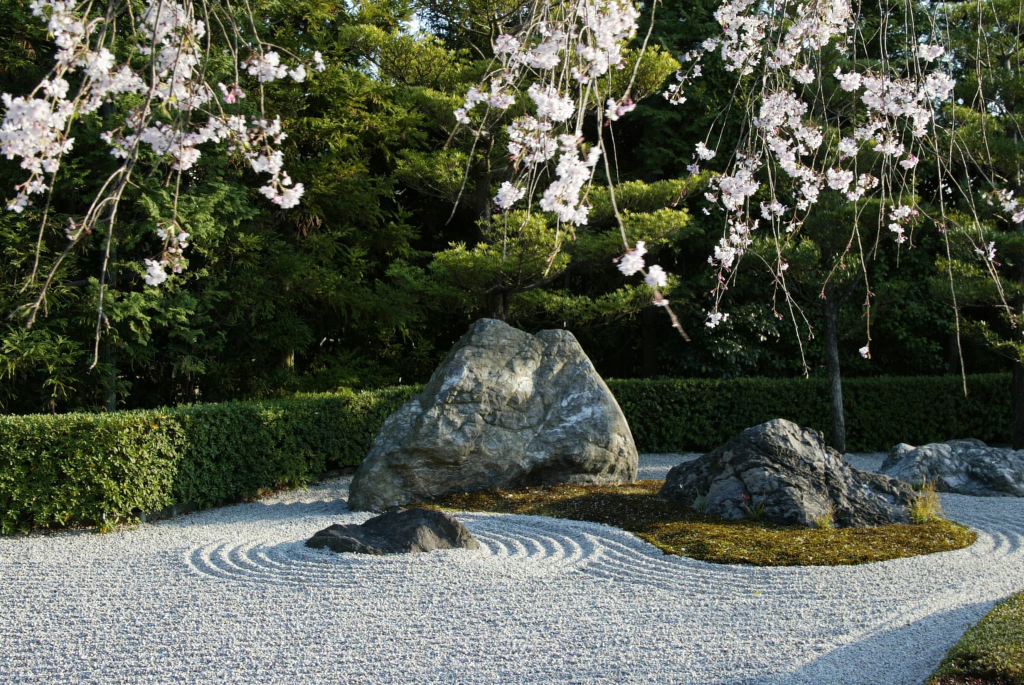 Myoshinji Temple Self-Guided Tour with Lunch - image 7