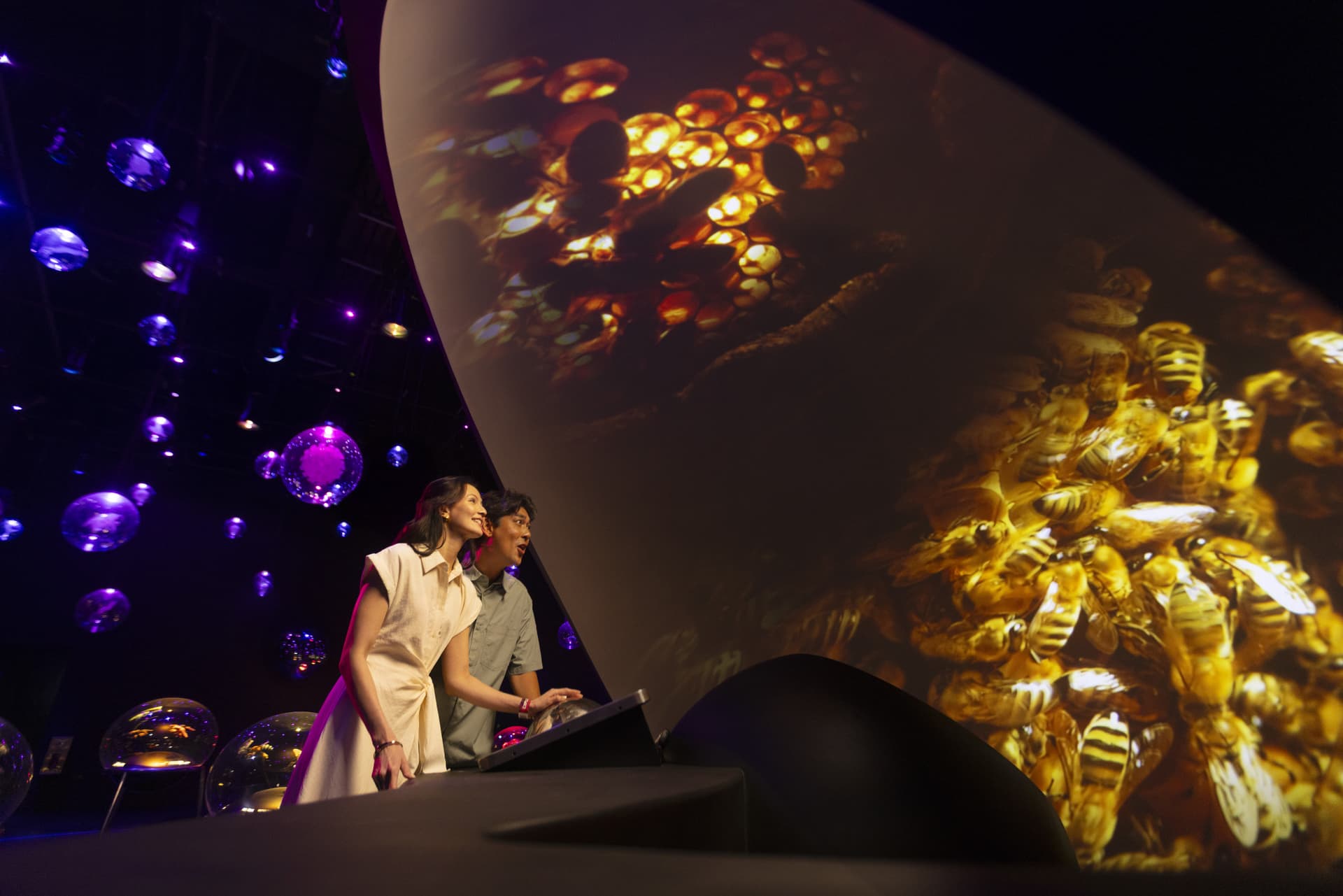 Entrada a Exploria en Mandai, Singapur - imagen 4