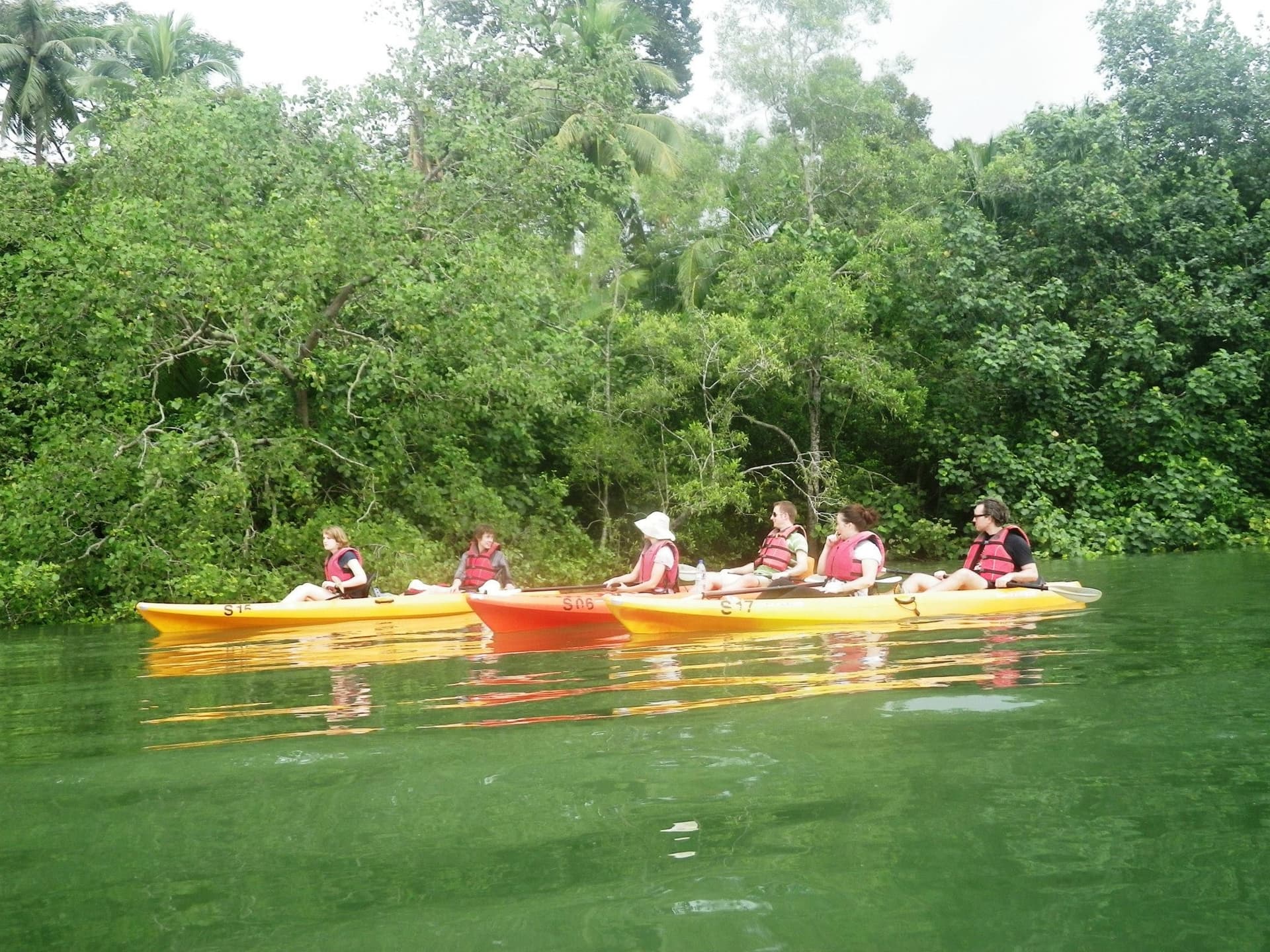 Pulau Ubin Kayaking - image 5