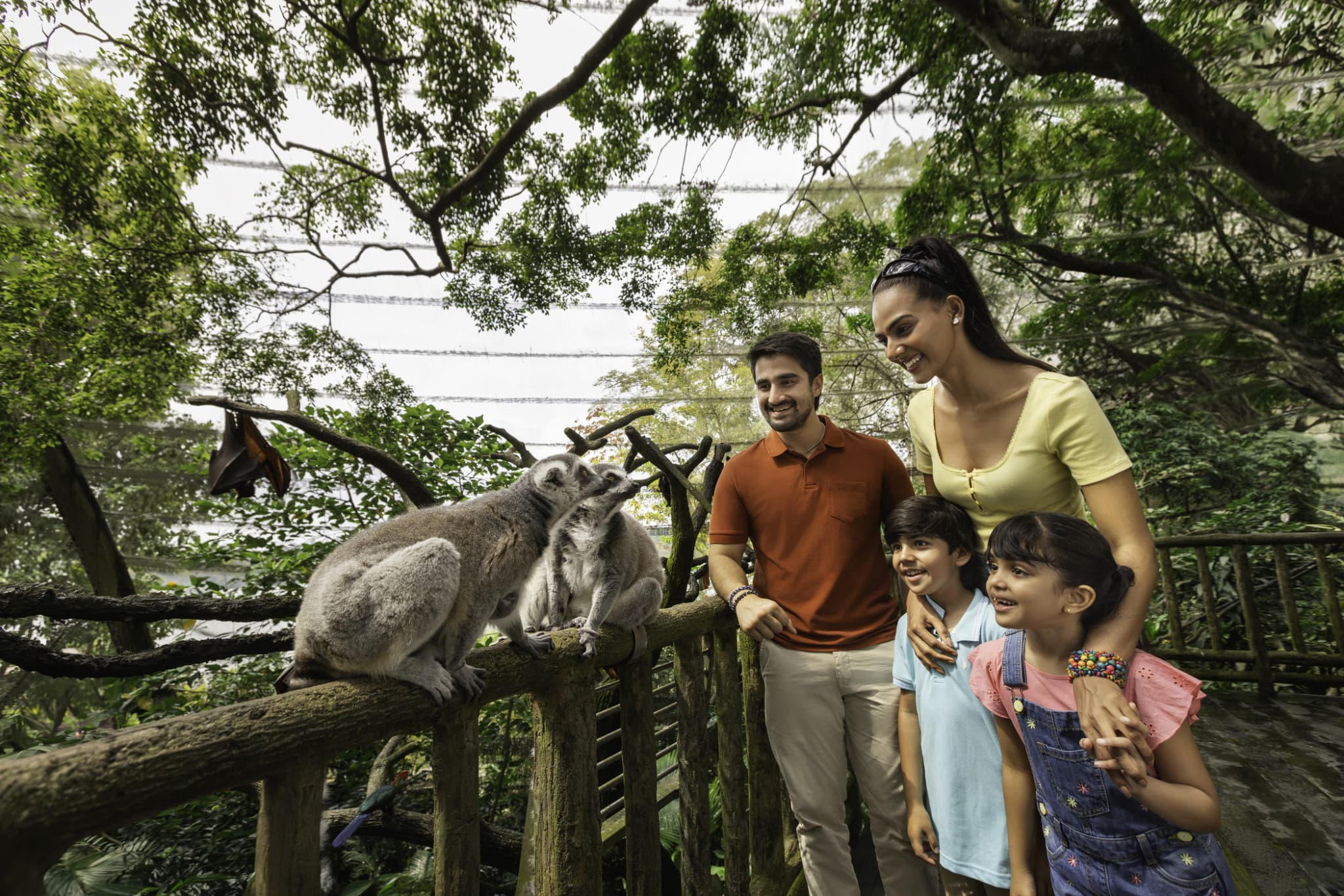 5-in-1 Day Pass: Night Safari + Singapore Zoo + Bird Paradise + River Wonders + Rainforest Adventure - image 9