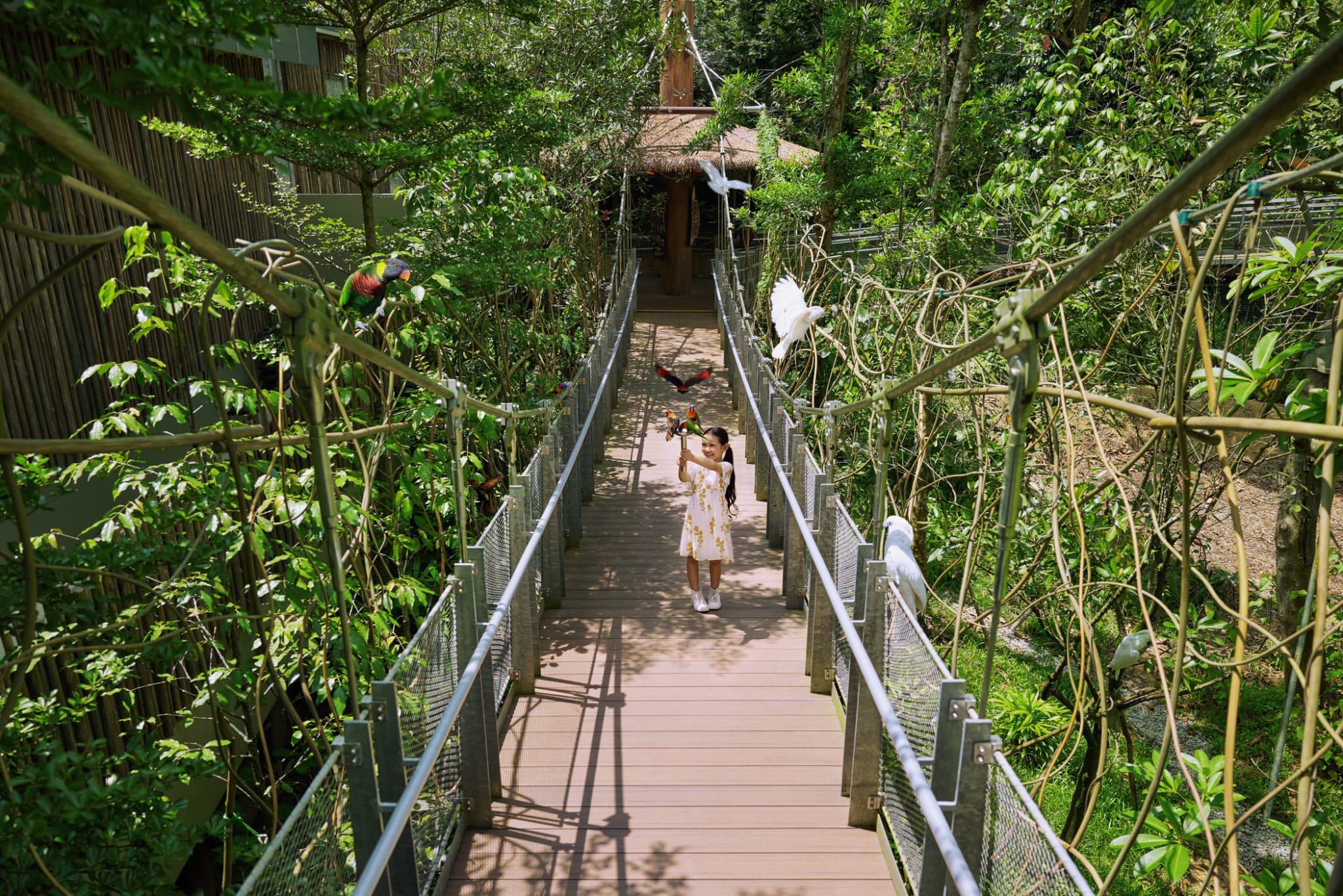 Singapore Bird Paradise Ticket - image 7