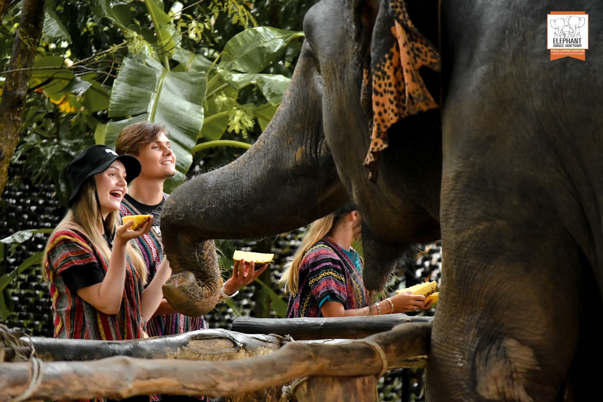 Elephant Jungle Sanctuary Phuket - main image