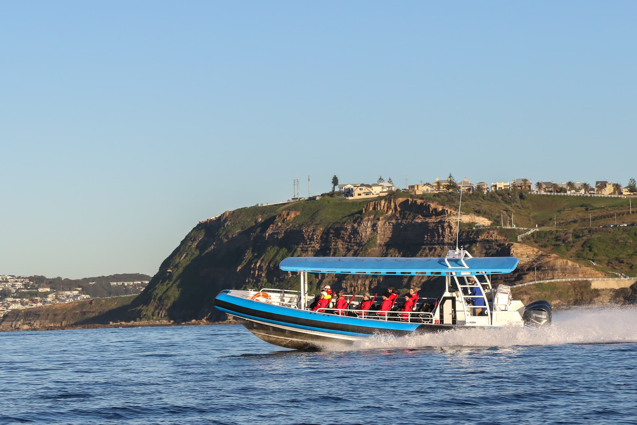 Newcastle Whale Watching Cruise aboard CoastXP - image 5