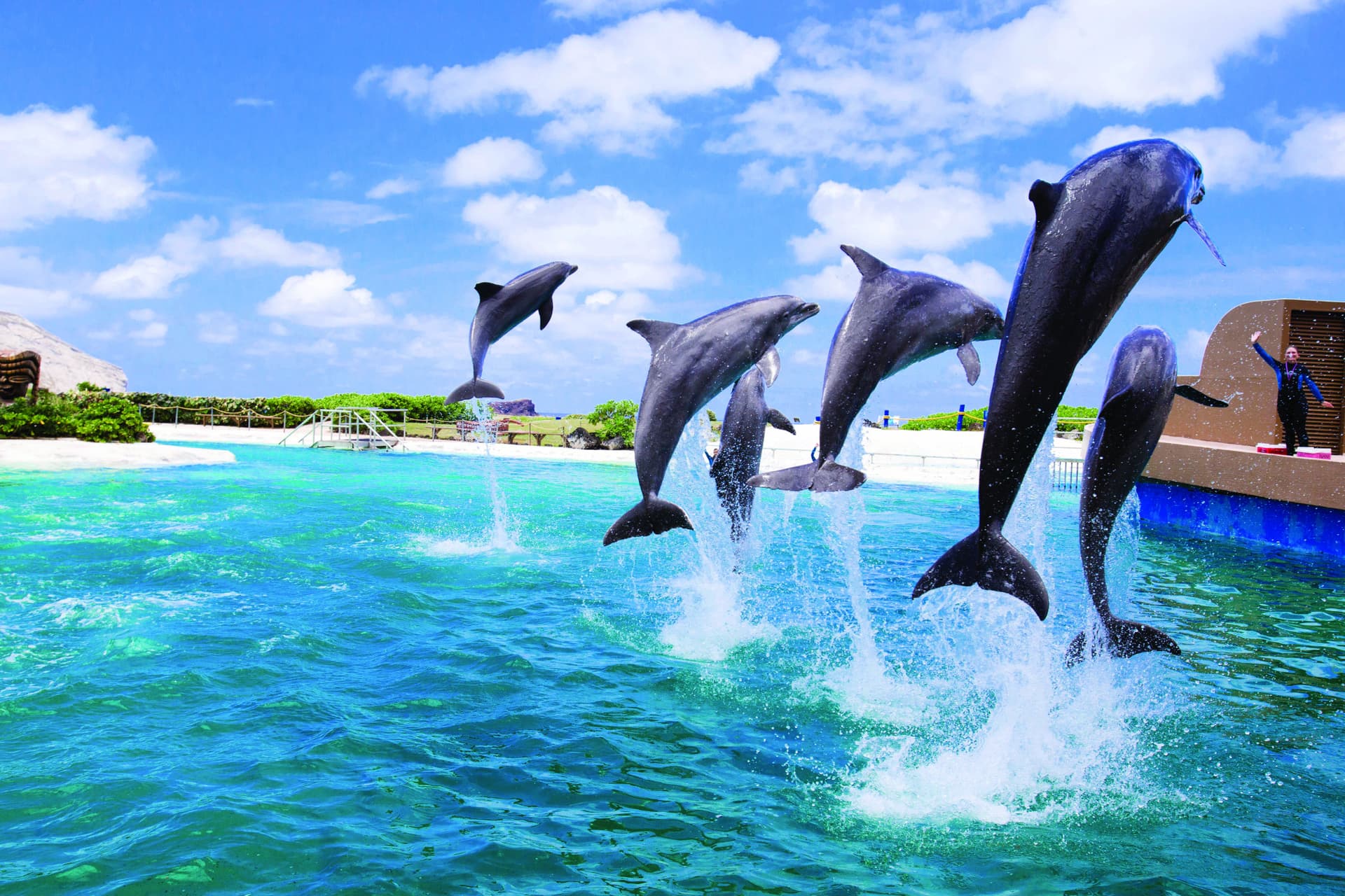 Go City Oahu Essentials Pass: 3 Attractions - image 10